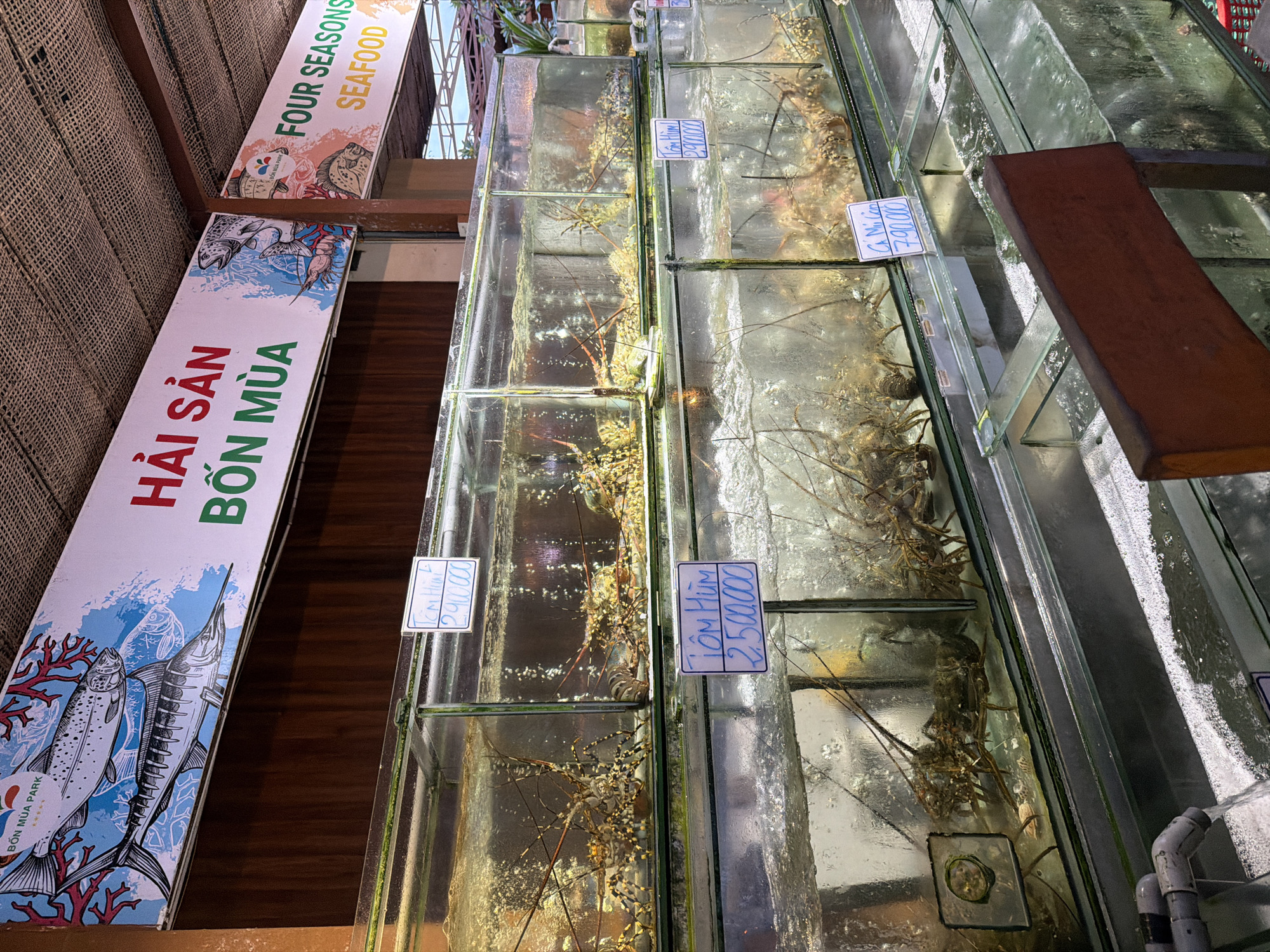 The image shows a seafood market in Nha Trang Ward, Vietnam. The market features several large glass tanks filled with water, where live lobsters are being displayed for sale. Signs with prices are attached to the tanks. In the background, there is a sign with text in Vietnamese and English, indicating "HẢI SẢN" and "FOUR SEASONS SEAFOOD". The environment appears to be a covered outdoor market, with a thatched roof visible at the top of the frame. The tanks are illuminated, and the water is clear, allowing for a good view of the lobsters. The overall scene is a typical display of live seafood for sale in a market.