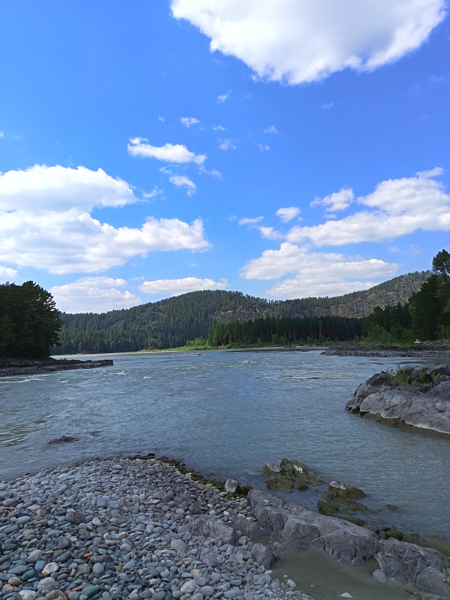 A wide, grey river flows through a valley with forested hills on either side. The sky is blue with scattered white clouds. The foreground features a rocky shore and a patch of grass. On the left, a dense pine forest covers the hillside. On the right, the river bends around a rocky outcrop. The image appears to be taken on a sunny day, with the water reflecting the sky and trees. There are no people visible in the image.