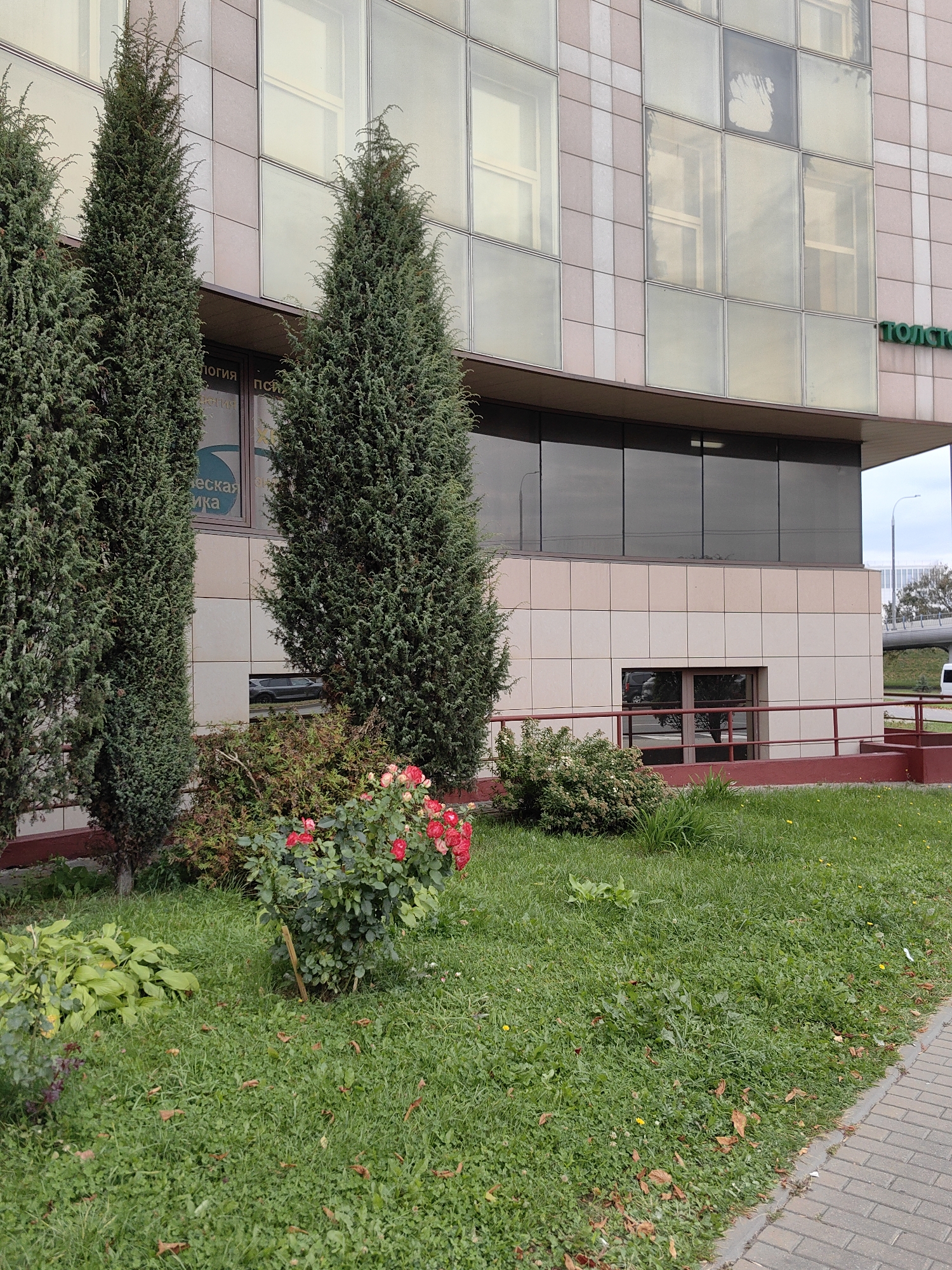 The image shows the facade of a modern building in Minsk, Belarus, with landscaping in the foreground. The building has a light-colored tiled exterior and large, reflective windows. A green sign with white lettering is visible on the upper part of the building. In front of the building, there are several tall, conical evergreen trees. A bush with red roses is planted in front of the trees. The ground is covered with green grass, and a paved sidewalk runs along the right side of the image. The sky is overcast. There are no people or animals visible in the scene.
