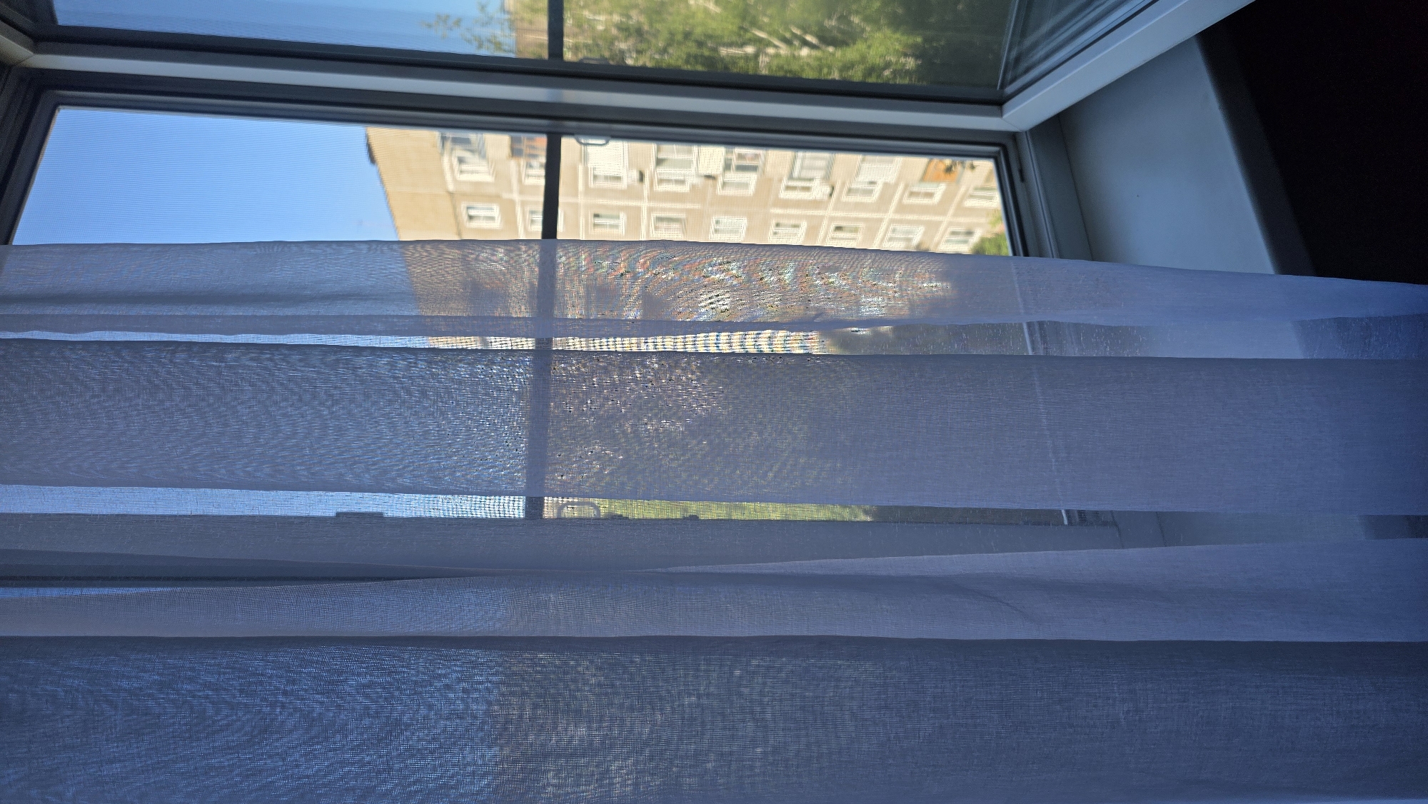 The image depicts a view through a window of a light blue sheer curtain, partially obscuring a building and trees outside. The window is partially open, allowing sunlight to filter through. The building appears to be an apartment complex, with multiple floors and windows. Trees are visible on the right side of the image, suggesting a residential area. The scene is set in Tambov, Russia.