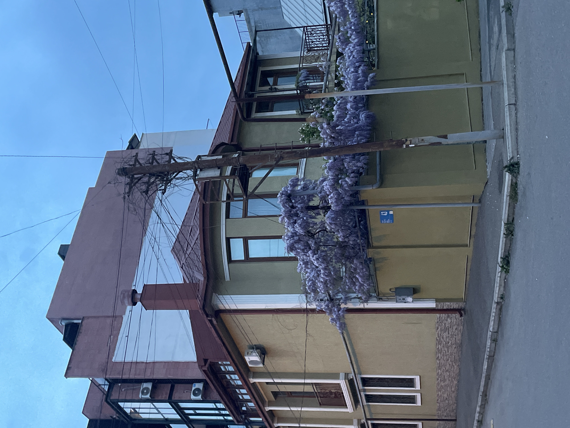 The image captures a static, upward-looking view of a multi-story urban street scene, likely in Tbilisi, Georgia, under a clear, light blue sky. On the right, a prominent building with a greenish-yellow facade is covered by a dense cascade of vibrant purple wisteria flowers, which trail down several stories. This building features multiple rectangular windows and an ornate black metal railing on an upper balcony.
Adjacent to it, on the left, is another building with a reddish-brown, slightly sloped roof and facade, partially covered by white or light-colored sections. Numerous overhead utility lines and cables crisscross the frame, connecting to a heavily wired wooden utility pole positioned centrally, in front of the greenish-yellow building. This pole has multiple cross arms and appears aged and rusty in places. Several air conditioning units are visible on the lower parts of the buildings, and metal pipes run along their exteriors.
The foreground shows a narrow asphalt road on the far right, bordered by a concrete sidewalk where some small green weeds are growing. The lighting is soft and even, suggesting either an overcast day or late afternoon/early evening. No people or specific activities are visible.
A small, rectangular blue sign is affixed to the greenish-yellow building, clearly displaying the number "43". Below the number, there are some unidentifiable symbols or text.
