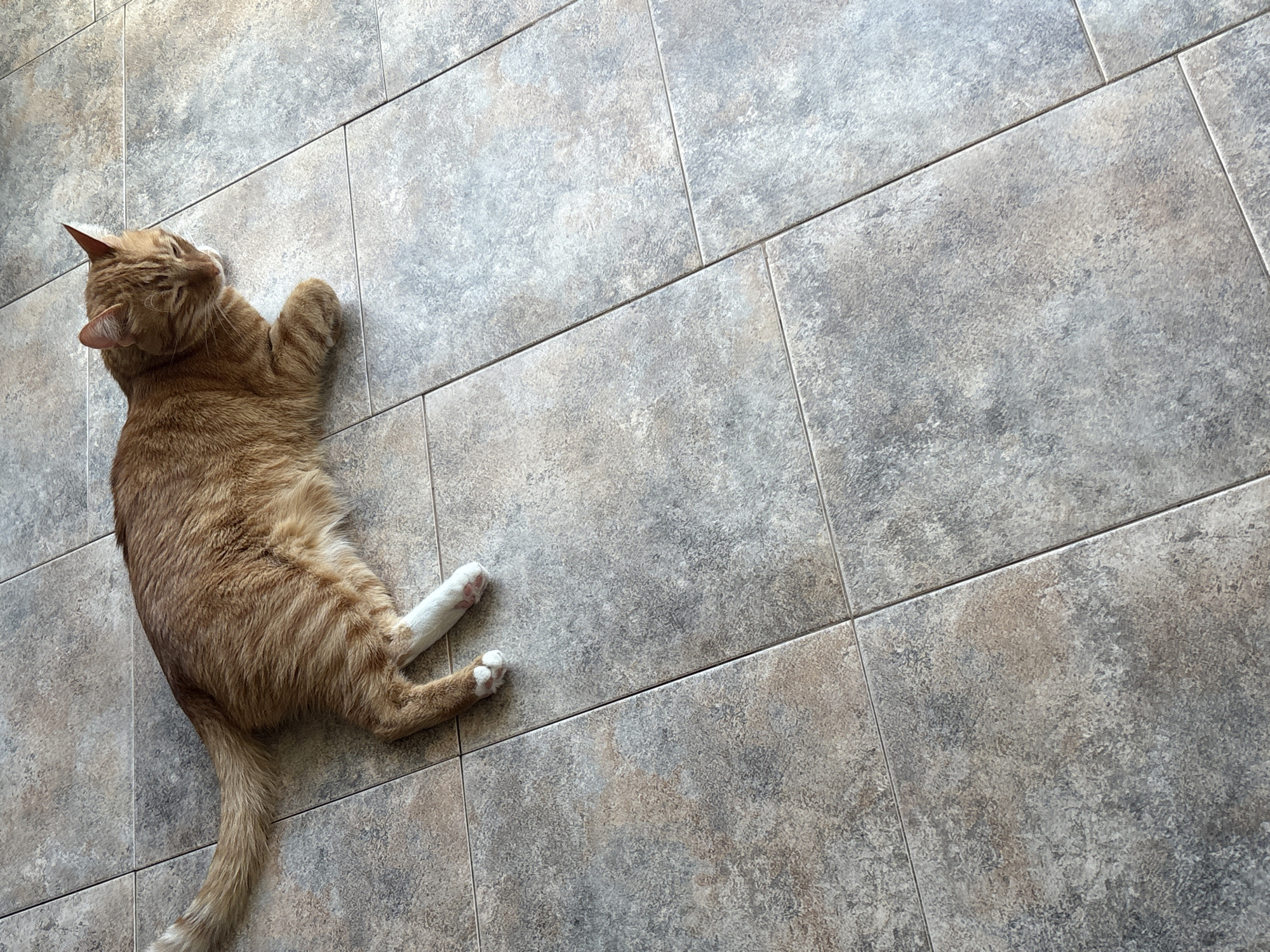 An orange tabby cat with a white bandage on its left hind leg is lying on a tiled floor. The cat is in the upper left quadrant of the image, with its head turned to the right, eyes partially closed. The floor tiles are square and have a mottled grey, beige, and brown pattern. The lighting suggests an indoor setting, possibly a home. The image does not contain any information about the city of Vratsa, Bulgaria.