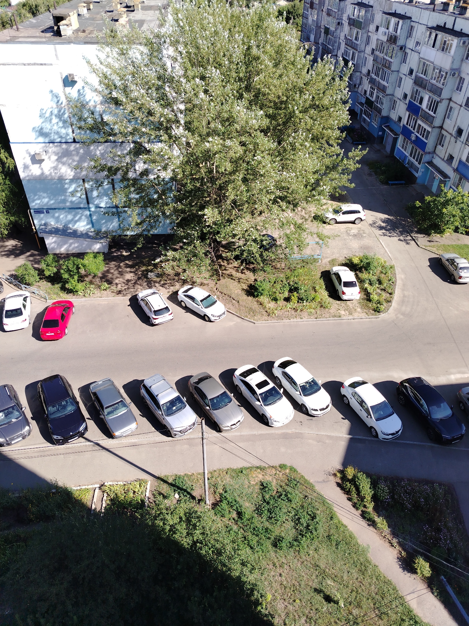 An aerial, eye-level, medium shot captures a residential area in an urban environment, likely during daylight given the shadows. The scene is dominated by apartment buildings, a large tree, and parked cars. A multi-story apartment building with a pale blue and white facade occupies the right side of the frame. The building has numerous windows and balconies, some of which are enclosed with glass. In front of this building, a paved road or parking lot runs horizontally.
A prominent, leafy green tree with white blossoms stands in the middle ground, casting shadows on the road and a light blue, multi-story building to its left. This building also has windows and air conditioning units visible.
The paved area is populated with several parked cars. From left to right and top to bottom on the road are: a white hatchback, a red sedan, a silver sedan, a white sedan, a white SUV, a white sedan, a silver sedan, a dark blue sedan, a silver sedan, a white sedan, a silver sedan, and a white sedan. Some of these vehicles are parked in designated spots, while others are parallel parked along the road.
The foreground and bottom of the image show a grassy area with some patches of green bushes and plants. The overall impression is of a typical urban residential setting with vehicles parked around apartment buildings.