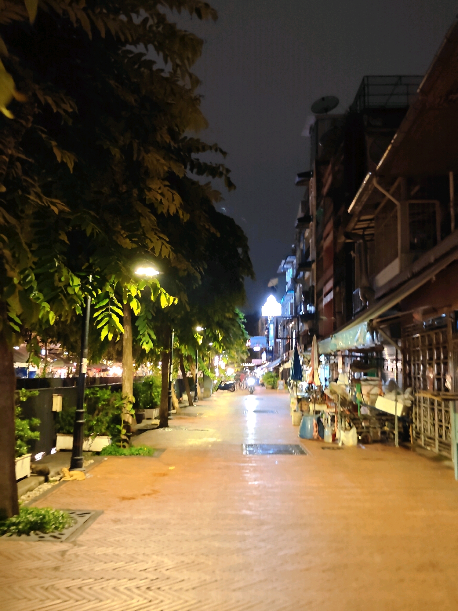 The image depicts a street scene at night in Bangkok, Thailand, likely an area with shops and street vendors. The foreground shows a paved walkway with a distinct herringbone pattern and scattered puddles, suggesting it may have recently rained or is damp. Several trees with lush green foliage line the left side of the walkway, their leaves illuminated by streetlights. These streetlights, mounted on black poles, cast a warm glow on the path.
To the right, a row of buildings stands tall, characterized by multiple stories and balconies. Some buildings appear to be shops, with awnings extended and various items displayed outside, including umbrellas, shelves, and containers. The storefronts are lit, hinting at ongoing activity. In the background, more buildings are visible, along with what appears to be a satellite dish on one of the rooftops.
A few indistinct figures can be seen walking or standing on the walkway, and a motorcycle is present in the mid-ground on the left. There is also what appears to be a cat or dog resting on the walkway in the lower left portion of the image. The overall atmosphere is that of a vibrant, potentially busy, urban environment at night, with elements of both commerce and nature coexisting. The sky is dark and overcast.