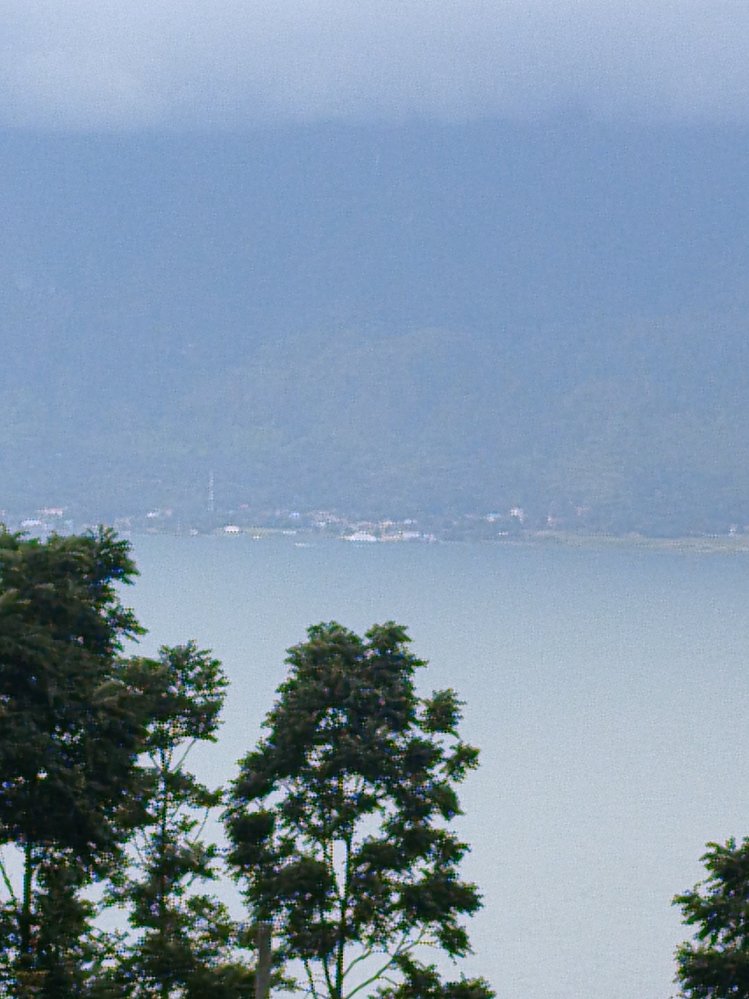 This is a landscape photograph taken from a slightly elevated position, looking out over a large body of water towards a distant, hazy mountain range. In the foreground, the dark green foliage of several trees partially obscures the view. The trees have dense canopies and visible branches. The body of water is calm and appears to be a lake or a bay, with a pale blue-green hue. Along the far shore of the water, nestled at the base of the mountains, there is a faint line of human settlement. Scattered buildings and structures are visible, some appearing to be white. A tall, slender structure, possibly a tower or a communication mast, stands out against the background. The sky is overcast and a uniform pale blue, contributing to the muted and atmospheric quality of the scene. The overall impression is one of a serene, natural landscape with a subtle human presence on the horizon, suggesting a location in or near Pem.tambun Raya, Indonesia.