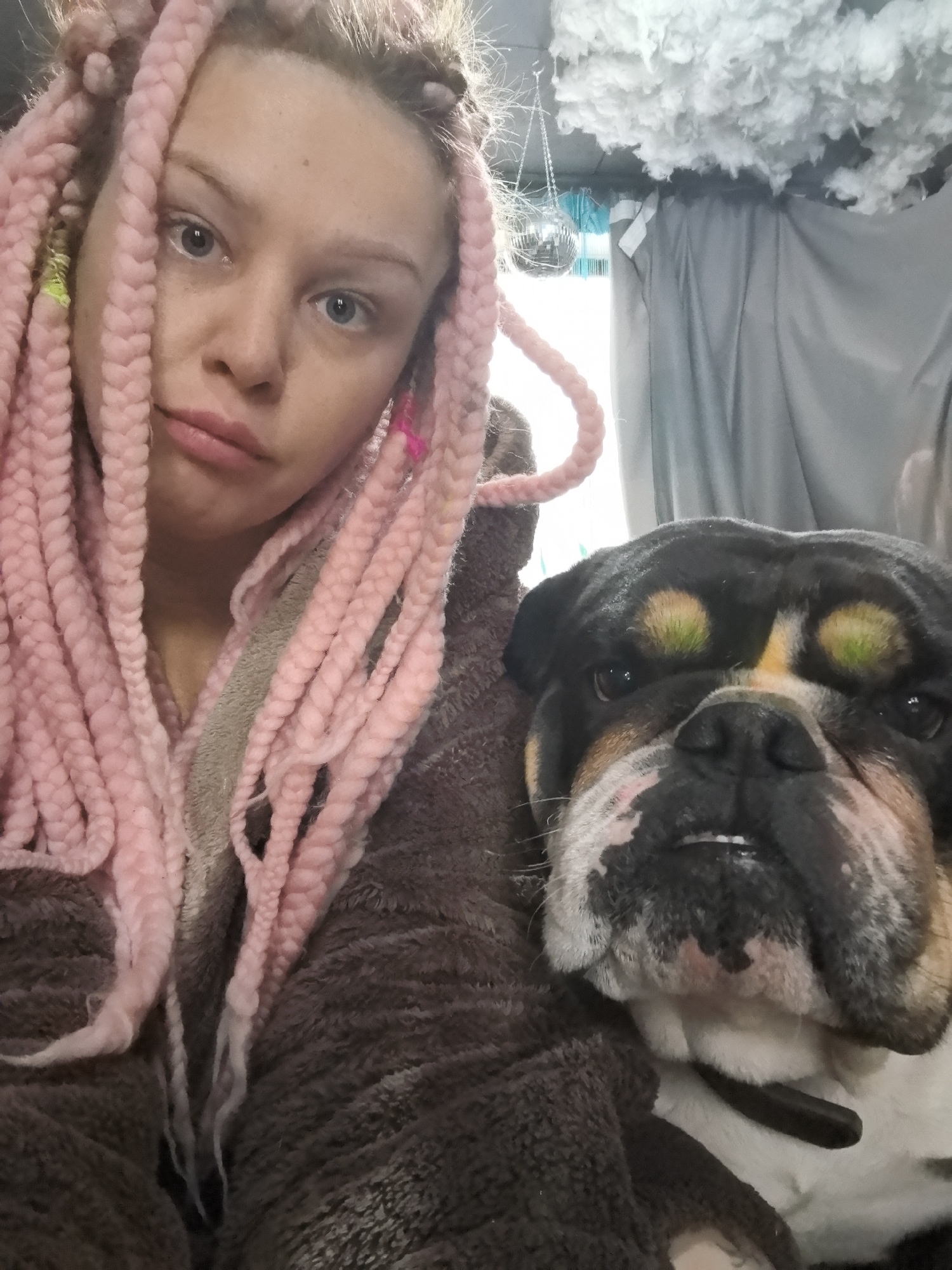 A selfie captures a light-skinned woman with pink braided hair, wearing a brown robe, alongside an English Bulldog. The dog has black and brown fur on its head, a white chest, and a black collar. Above and behind the subjects, one can see a white, cloud-like decoration hanging from the ceiling, as well as gray curtains and a disco ball. The city of Noviy, Russia is not visible in the image.