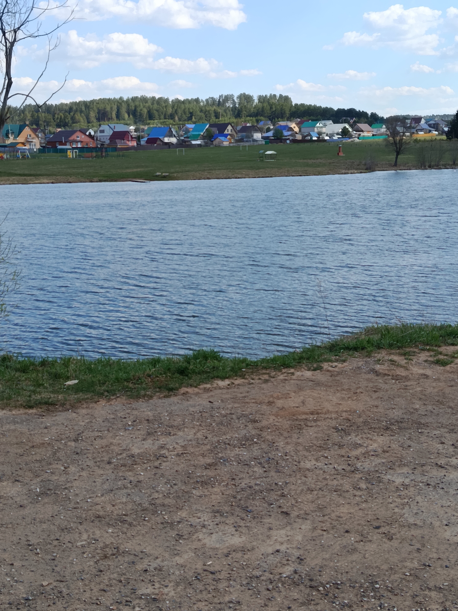 The image depicts a body of water, likely a lake or wide river, with a shoreline in the foreground. The water's surface is rippled by wind. The shoreline is a mix of dirt and grass.
Beyond the body of water, there is a grassy field with a settlement or village in the background. The buildings are colorful, with some having red, blue, and green roofs. A line of trees is present on the horizon behind the village.
The sky is blue with scattered white clouds.
The location is Фоки, Russia.