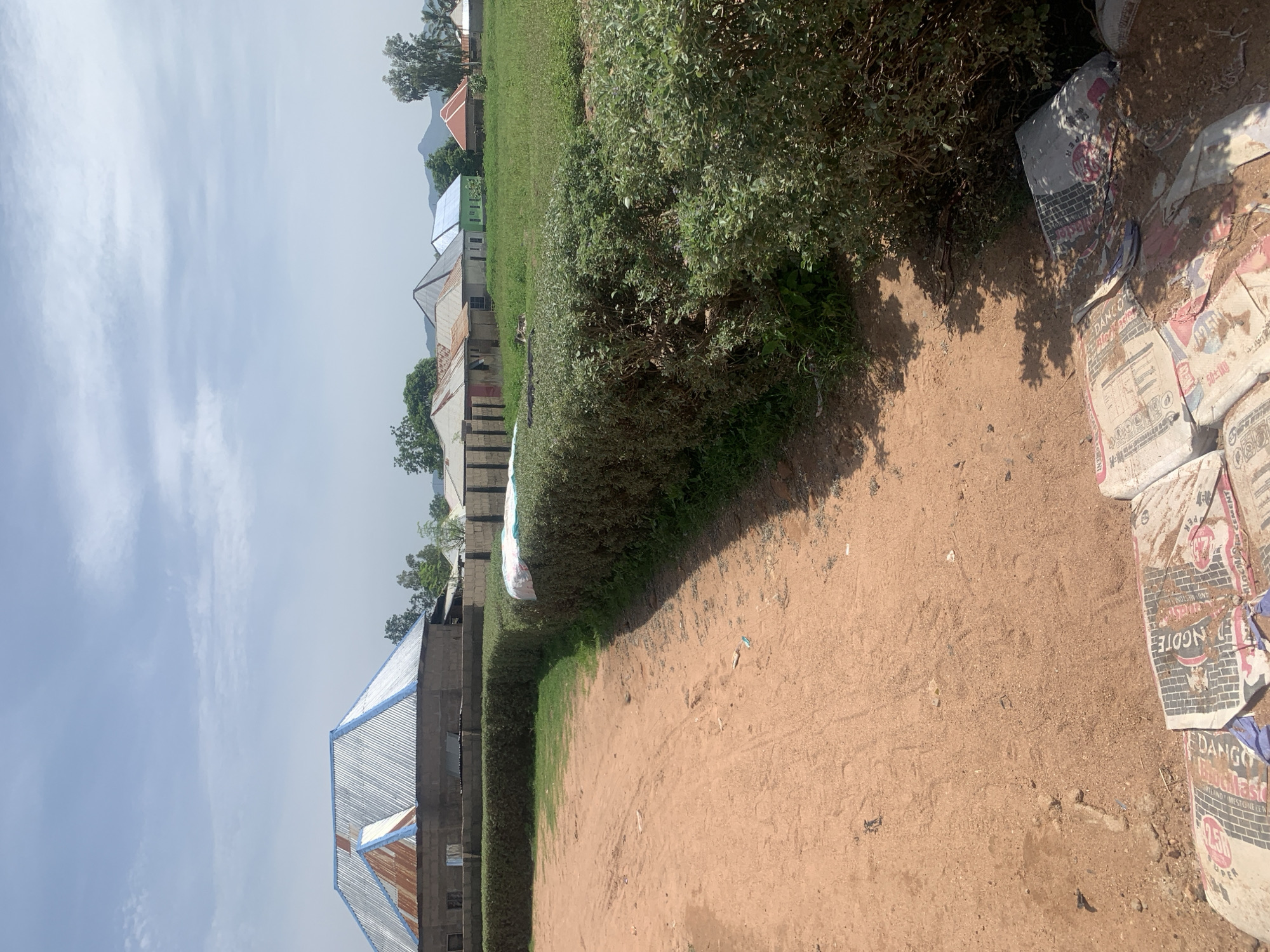 In Jauro Yinu, Nigeria, a scene unfolds with a clear blue sky overhead, dotted with sparse white clouds. In the foreground, a dirt path, tinged with reddish-brown soil, leads towards a row of buildings. Partially visible at the bottom of the frame are several large bags of cement, some appearing worn and dirty, resting on the ground.
A neatly trimmed, dense green hedge runs along the edge of the dirt path, separating it from a grassy area. Beyond the hedge, a line of houses with corrugated metal roofs, varying in color and condition, stretches across the landscape. Some roofs are a shiny silver, while others show signs of rust. The houses themselves appear to be constructed from brick or concrete. In the background, lush green trees and distant, hazy hills or mountains frame the scene. The overall impression is of a rural or semi-rural residential area under a bright, sunny sky.