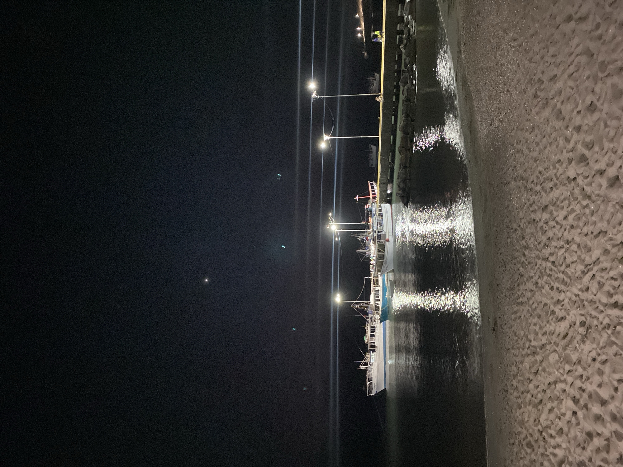 At night, the port of Juan Griego, Venezuela, features a pier illuminated by evenly spaced lampposts. Several fishing boats are docked along the pier, with their lights reflected in the dark water. The shore consists of a textured concrete wall. The sky is a featureless dark expanse.