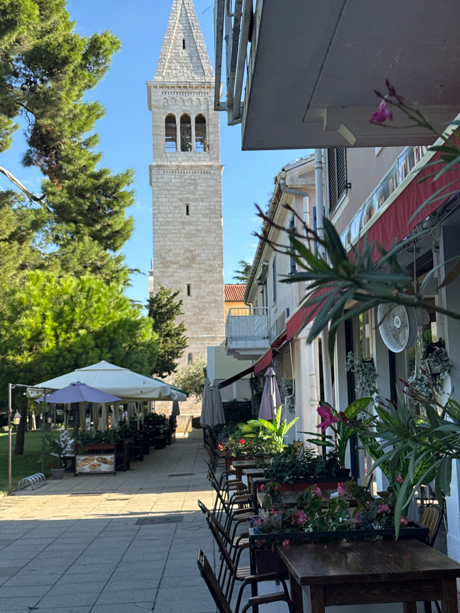 The image depicts a sunlit scene in the city of Novigrad, Croatia, featuring an outdoor dining area and a prominent bell tower in the background. The foreground is dominated by several dark wooden tables and chairs arranged in rows, suggesting a restaurant or cafe setting. Lush green plants and potted flowers are placed between tables and along the facade of the building. A red awning extends over part of the building, with a white fan mounted on the wall above it.
The mid-ground shows more outdoor seating areas under white and purple umbrellas, with tables set up and some menu boards visible. A bicycle rack is present on the left side of the walkway.
In the background, a tall, light-colored stone bell tower rises against a clear blue sky. The tower has arched openings near the top and a pointed roof. Green trees, including a large pine tree, flank the bell tower, providing a natural contrast to the architectural elements. The paving stones of the walkway cast long shadows, indicating the time of day is likely late afternoon. No people are clearly visible in the image.