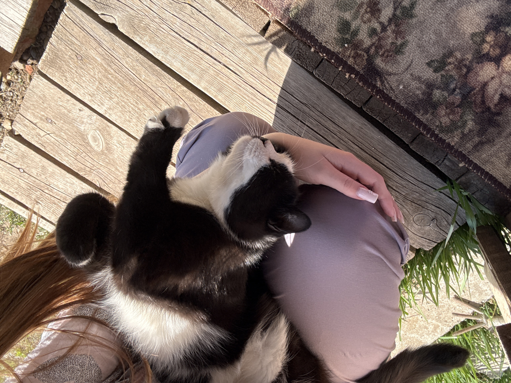A black and white cat is lying on a person's lap, outdoors. The person is wearing mauve-colored leggings. The background shows wooden planks, a rug, and grass. The city of Альняш, Russia is not discernible from the image.