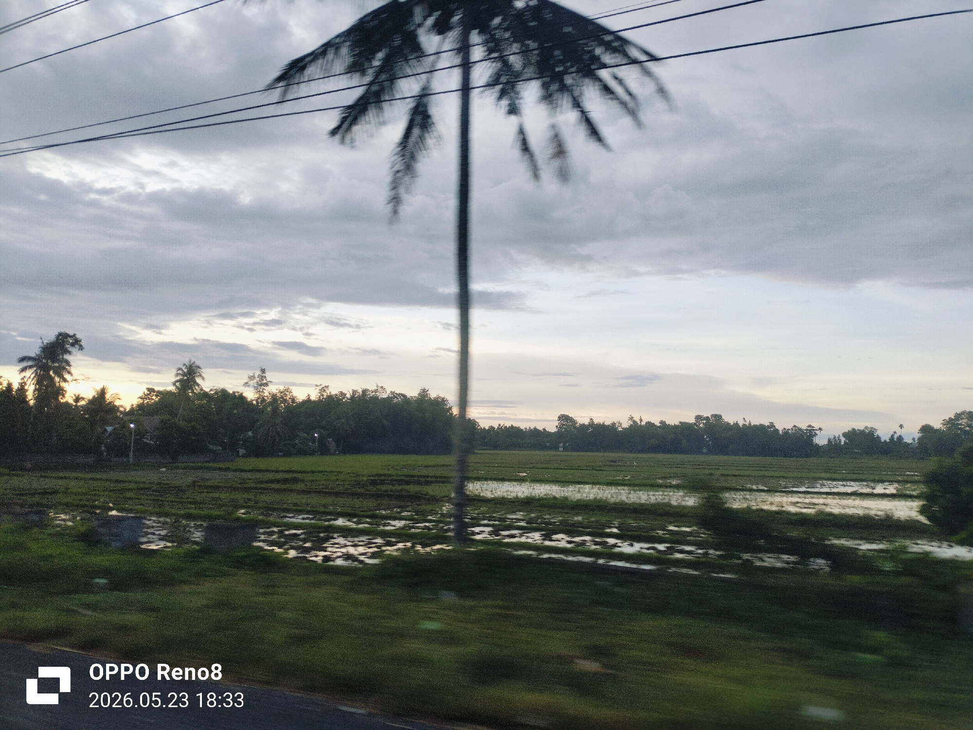 The image shows a rural scene in Jurong Pandee, Indonesia, taken from a moving vehicle. The foreground is blurred green grass with a glimpse of asphalt road. A flooded rice paddy occupies the middle ground. In the background, a tree line separates the paddy from a cloudy sky at dusk. A tall, slender palm tree, blurred due to movement, stands in the middle of the paddy. Overhead power lines stretch across the sky. The lower left corner displays the timestamp "OPPO Reno8 2026.05.23 18:33".