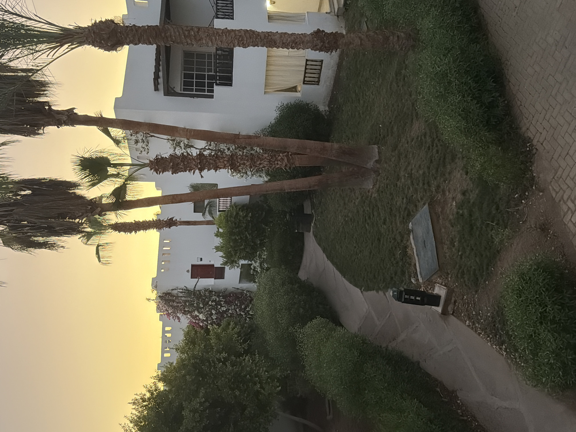 The image depicts an outdoor courtyard at dusk, likely in Sharm El Sheikh, Egypt, given the architectural style and abundant palm trees. The scene features a white, multi-story building with a flat roof and balconies. In the foreground, lush green bushes line a winding paved pathway. Several tall palm trees are prominent throughout the courtyard, with dense foliage and rough bark. The sky is a soft gradient of yellow and orange, indicating the setting sun. The building's facade is punctuated by dark-framed windows and at least one red door. The ground is a mix of grass and paving stones, with some darker patches possibly indicating irrigation or a manhole cover. A black lamppost on a concrete base stands near the pathway. No people are visible in the frame.
