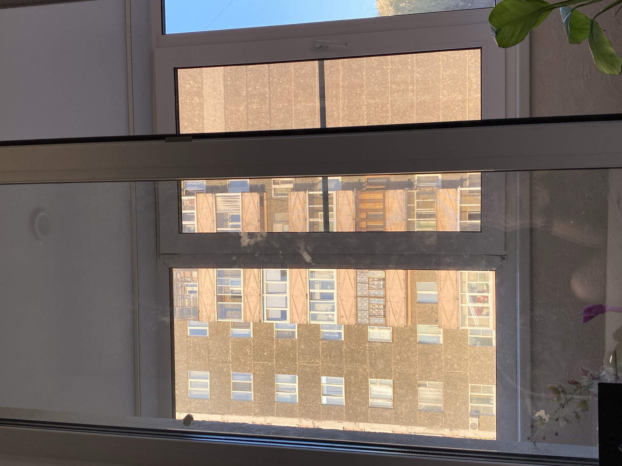 A view from a window shows a multistory building in Votkinsk, Russia. The building has a concrete facade and numerous windows, some with open shutters. The view is partially obscured by an interior window with a reflective surface. A plant is visible to the right of the window, and blinds cover the top portion of the window. The sky is visible above the building in the reflection.