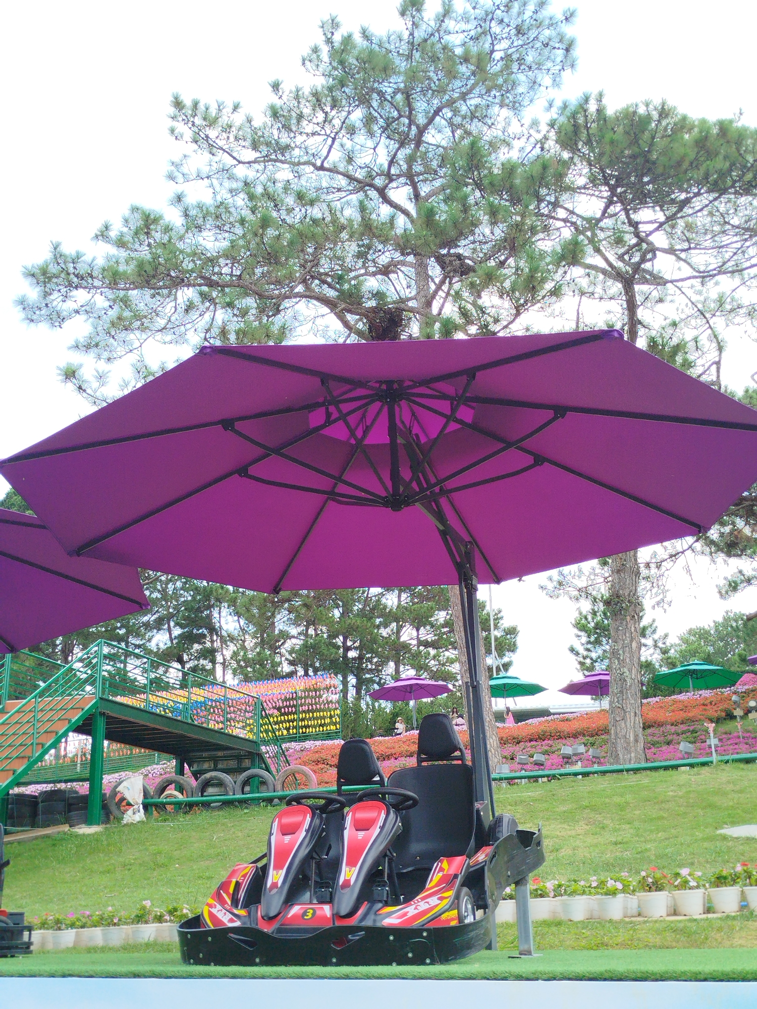 In Da Lat, Vietnam, this image captures a sunny outdoor scene featuring a go-kart race track adjacent to a vibrant flower garden and a picturesque pine forest. A large purple umbrella provides shade over two red and black go-karts. In the background, a multi-tiered flower display is visible, with a green staircase leading up to a platform. The environment is lush and green, with clear skies overhead, suggesting pleasant weather for outdoor activities. The overall impression is one of a recreational area designed to blend amusement with the natural beauty of Da Lat.
