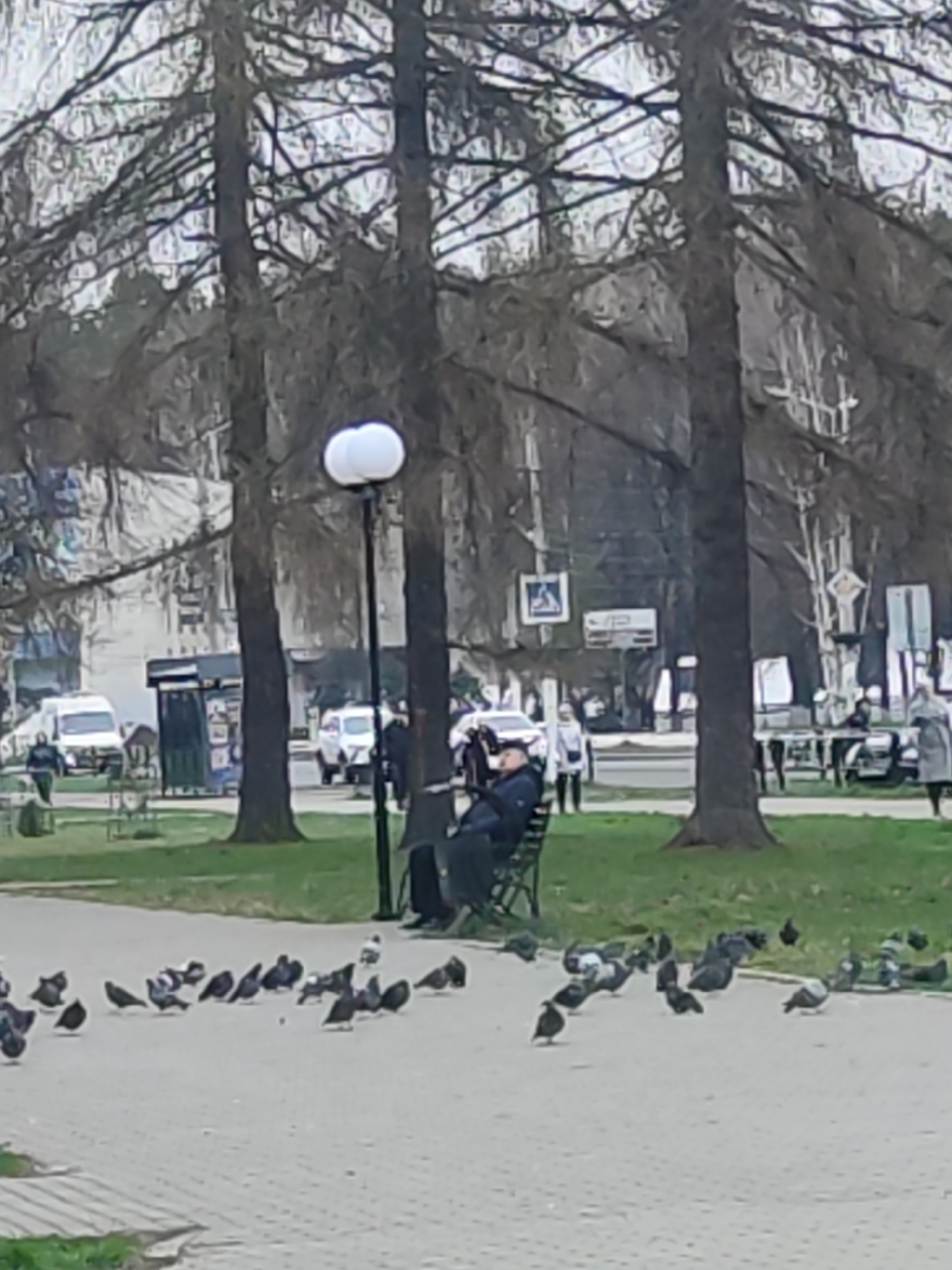 The image depicts a park scene in Chaikovsky, Russia. An elderly man sits on a green park bench, surrounded by pigeons on the paved walkway in front of him. The man wears a dark jacket and a hat. Several bare trees are in the background, alongside a lamp post with two globe lights. Other pedestrians and parked cars are visible across the walkway. A bus stop or newsstand is located to the left, and street signs are to the right. Buildings are visible in the distance.