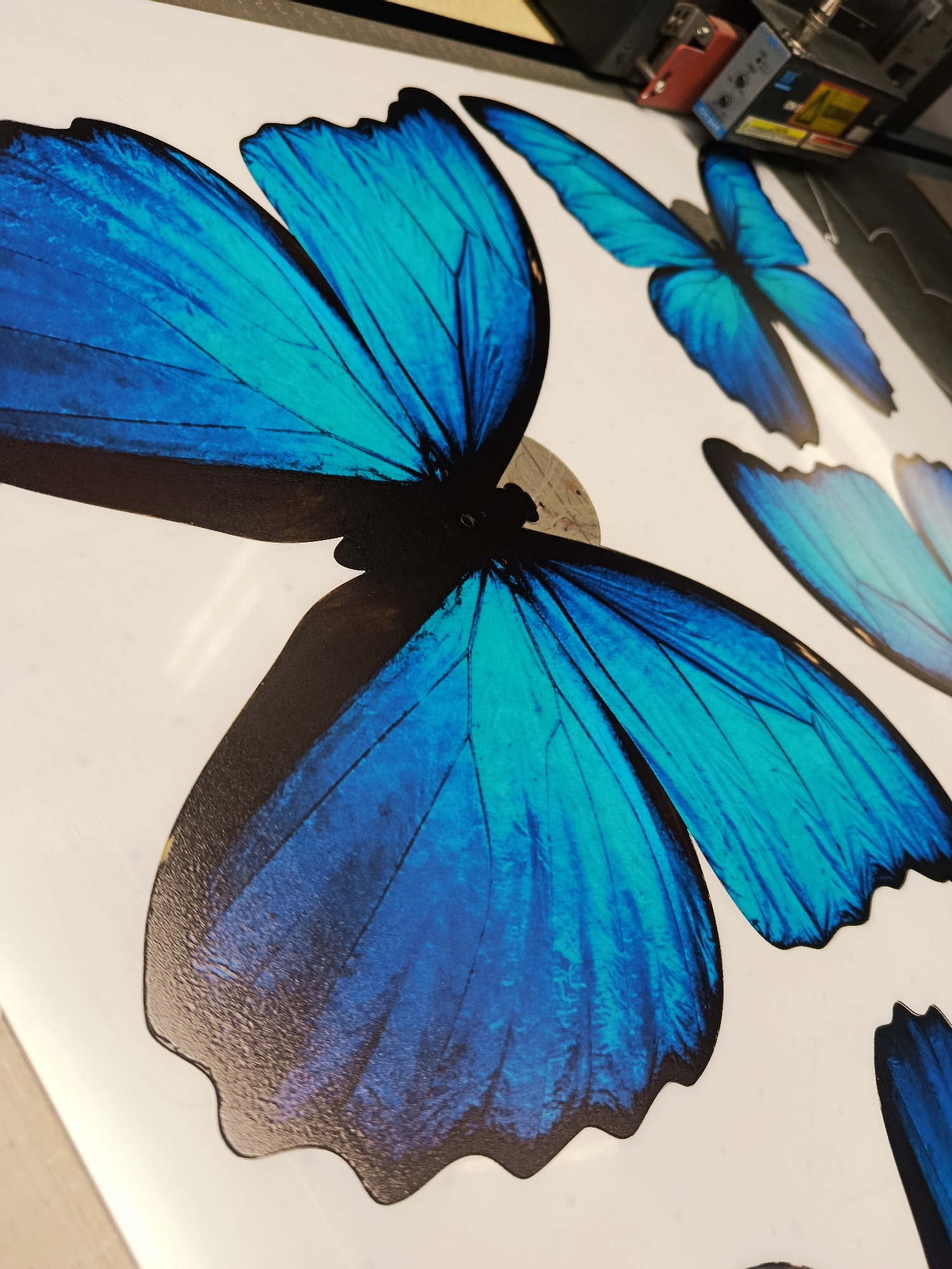 This media file is a close-up, overhead shot of a white surface adorned with large, vibrant blue butterfly decals. The decal in the foreground is the most prominent, showcasing a pair of intricately detailed wings with a gradient of deep blue to turquoise. The wings are edged with black, and a textured pattern mimicking the natural veins of butterfly wings is visible. Behind this central butterfly, other, smaller blue butterfly decals are scattered across the surface, some partially obscured. The lighting suggests an indoor environment, possibly a studio or workshop, as there is a slight sheen on the white surface and the focus is on the decals themselves. In the upper right corner, a blurry, out-of-focus piece of machinery is visible, possibly related to printing or application of the decals. There is no visible text in the image. The overall impression is one of artistic decoration, with the focus on the striking visual appeal of the blue butterflies.