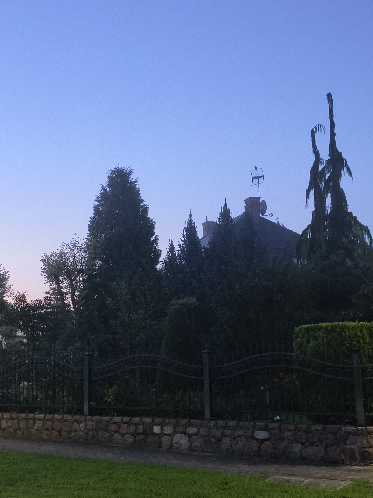 This is a horizontal, eye-level, medium shot of trees and a house at dusk in the city of Tczew, Poland. The sky is a clear, light blue, transitioning to a soft pink hue near the horizon. The foreground is dominated by a low stone wall topped with a black metal fence. Beyond the fence, dense greenery, including tall trees and bushes, obscures much of the background. A house with a dark roof and a chimney is partially visible through the foliage. A satellite dish and antenna are mounted on the roof. The leaves of some of the trees have a weeping or drooping appearance, particularly on the right side of the frame. The overall impression is one of a quiet, residential setting at the end of the day.