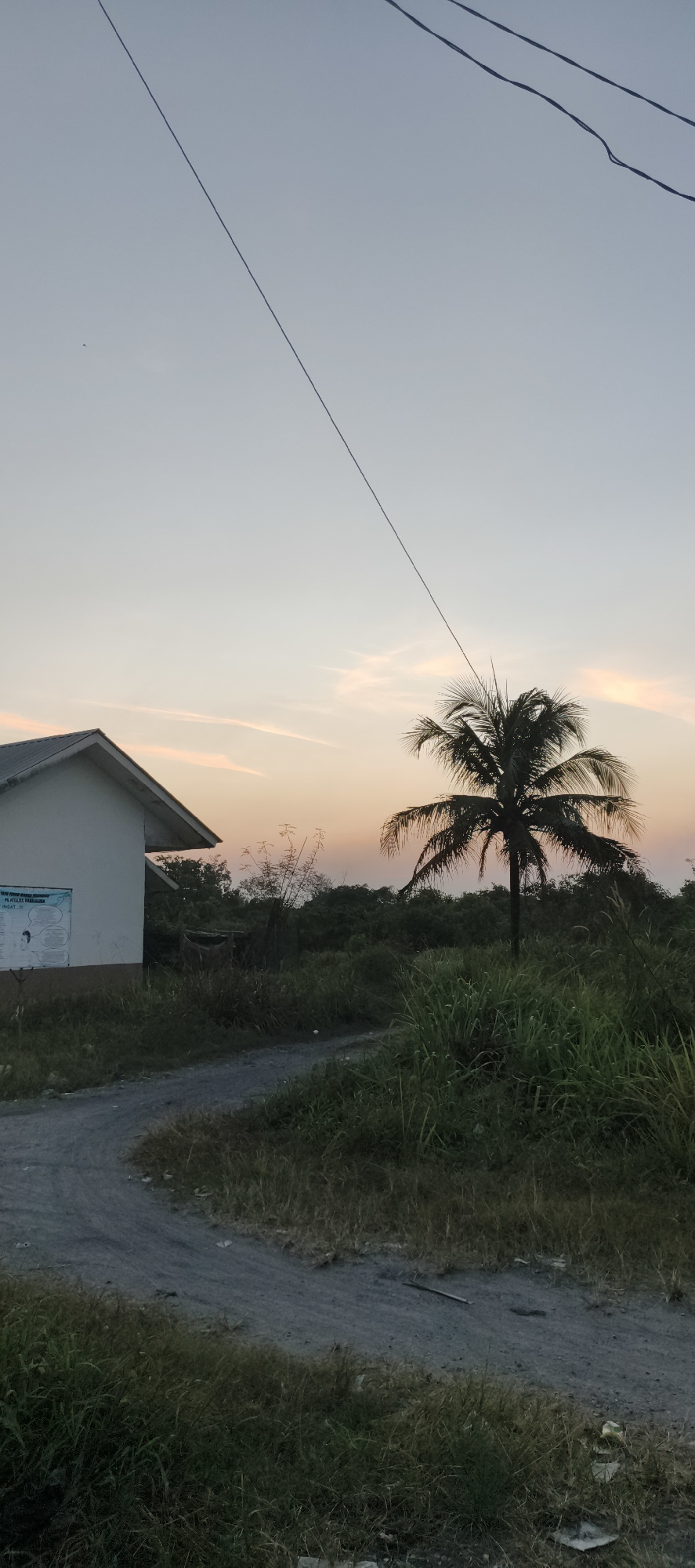 This is a medium-shot, vertical photograph taken at dusk in Danau Lamo, Indonesia. The scene depicts a rural landscape with a building and vegetation. In the foreground, a dirt road curves from the lower left to the middle of the frame. Tall green grass lines the right side of the road. To the left, a small, white building with a grey roof is visible, featuring a sign with text and graphics on its exterior wall. Beyond the building and the road, dense green vegetation forms a backdrop. A solitary coconut palm tree stands prominently in the middle-right of the image, silhouetted against a pale orange and blue sky. Several power lines stretch diagonally across the upper portion of the sky. The lighting suggests the sun has recently set, casting a soft glow. There are no people or animals visible in the image.