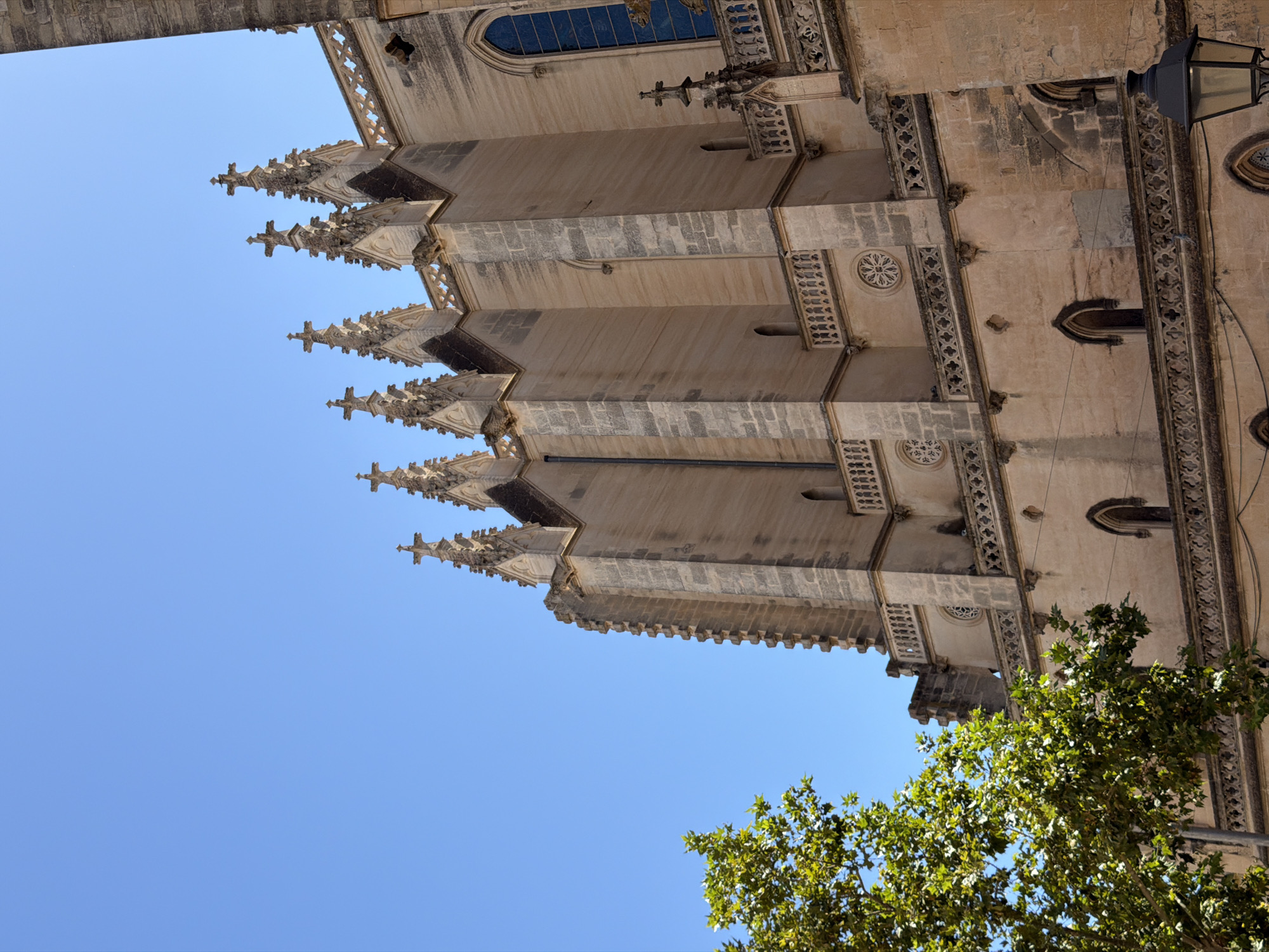 This is a low-angle, eye-level shot of the exterior of the Gothic Church of Santa Maria in Manacor, Spain, on a clear, sunny day. The church, constructed of pale stone, dominates the right side of the frame, its intricate stone carvings, arched windows, and steepled rooftops clearly visible. The architectural style is characterized by pointed arches, ornate tracery, and numerous vertical elements. A portion of a large, leafy green tree occupies the lower left quadrant of the image, its foliage partially obscuring the base of the church. The sky is a bright, cloudless blue. There are no people visible in the scene.