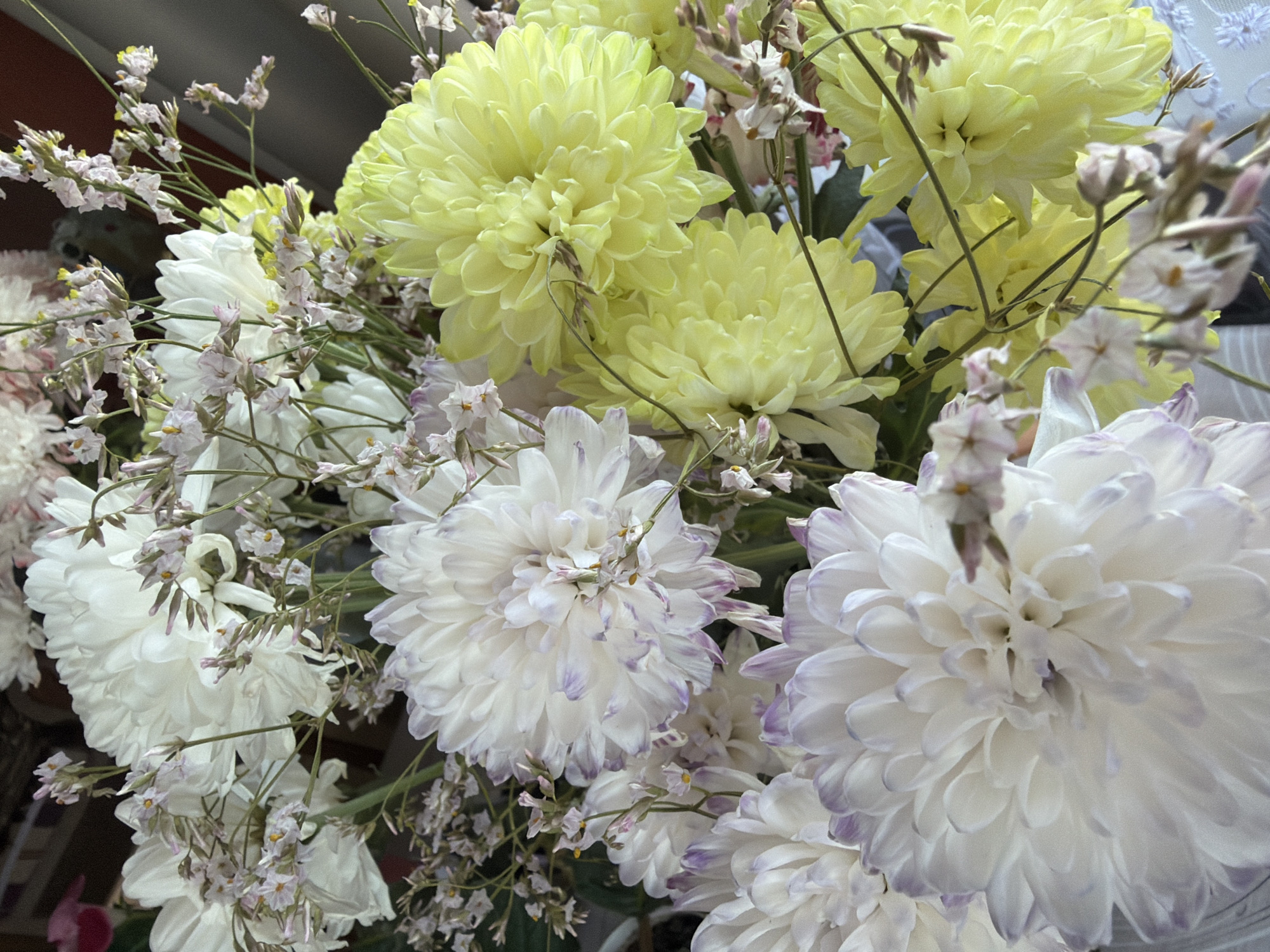 The image depicts a close-up of a bouquet of flowers. Predominantly featured are light yellow and white chrysanthemums with a pompom-like shape. Some of the white chrysanthemums have faint purple edges. Sprigs of small, delicate white flowers are interspersed among the larger blooms. The background is out of focus, suggesting a soft, natural light. The image doesn't provide any information to determine that this image was taken in the city of Chumna, Russia. There is no information about people, subjects, objects, or actions.