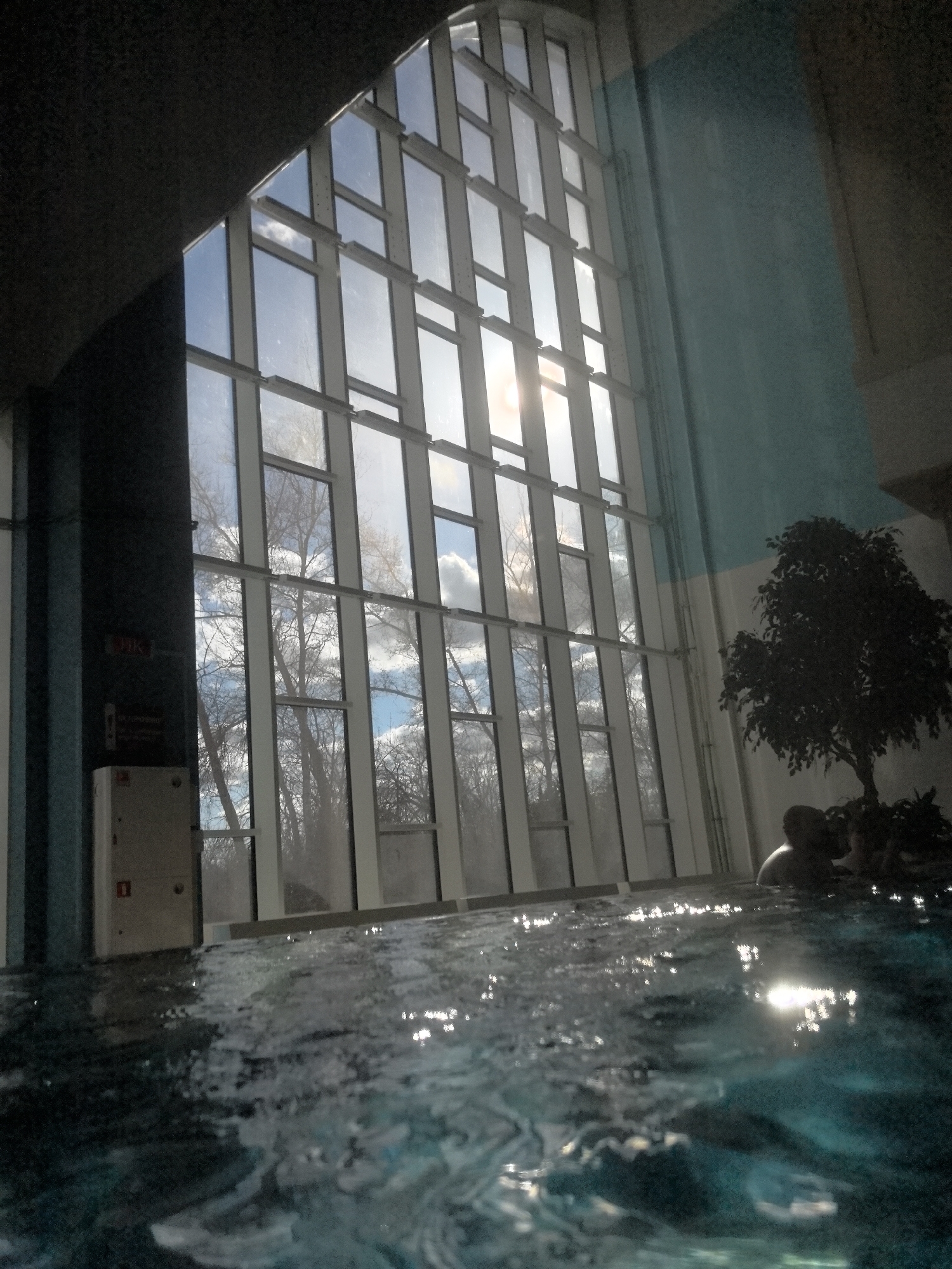A low-angle shot depicts a swimming pool interior, possibly a spa, in Nizhny Novgorod, Russia. A large grid of windows dominates the background, allowing natural light and a view of bare trees and a partly cloudy sky. Reflections of sunlight dapple the water's surface. A potted tree stands near the right edge of the frame, and indistinct human figures are partially submerged in the pool. A utility box is visible near the left edge of the image.