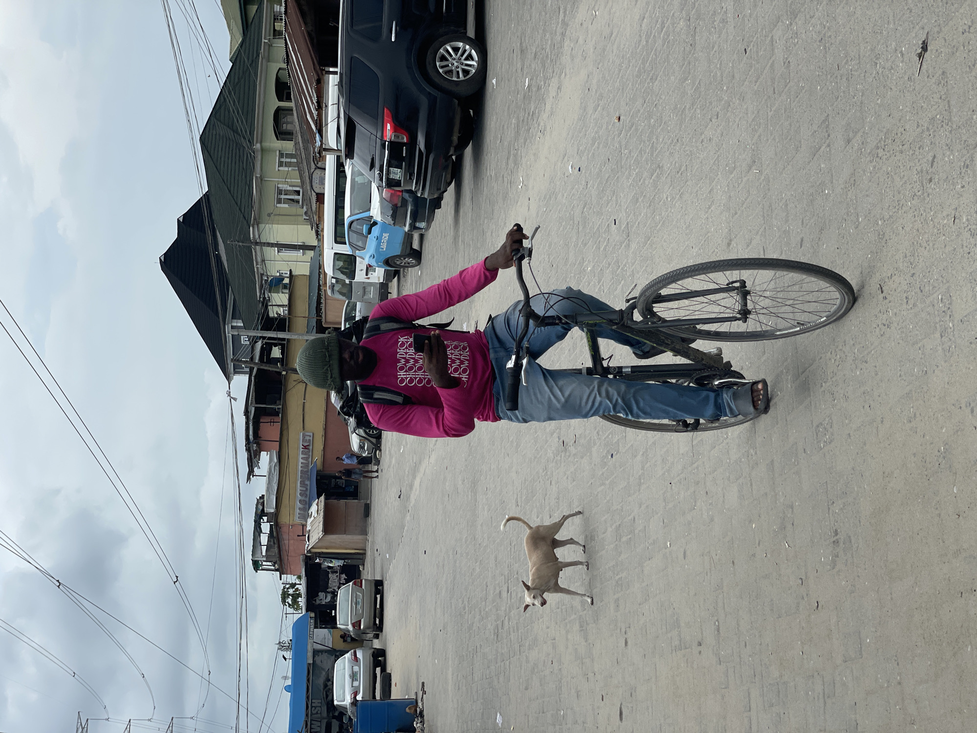 A man wearing a pink long-sleeve shirt, jeans, and a green beanie rides a bicycle on a paved street in an urban area. He is holding a phone in his left hand. A tan dog is standing on the street near the man. Cars are parked along the street on either side. Buildings are visible in the background, with one labeled "M&G SUPERMARKET." Power lines run overhead. The sky is overcast.