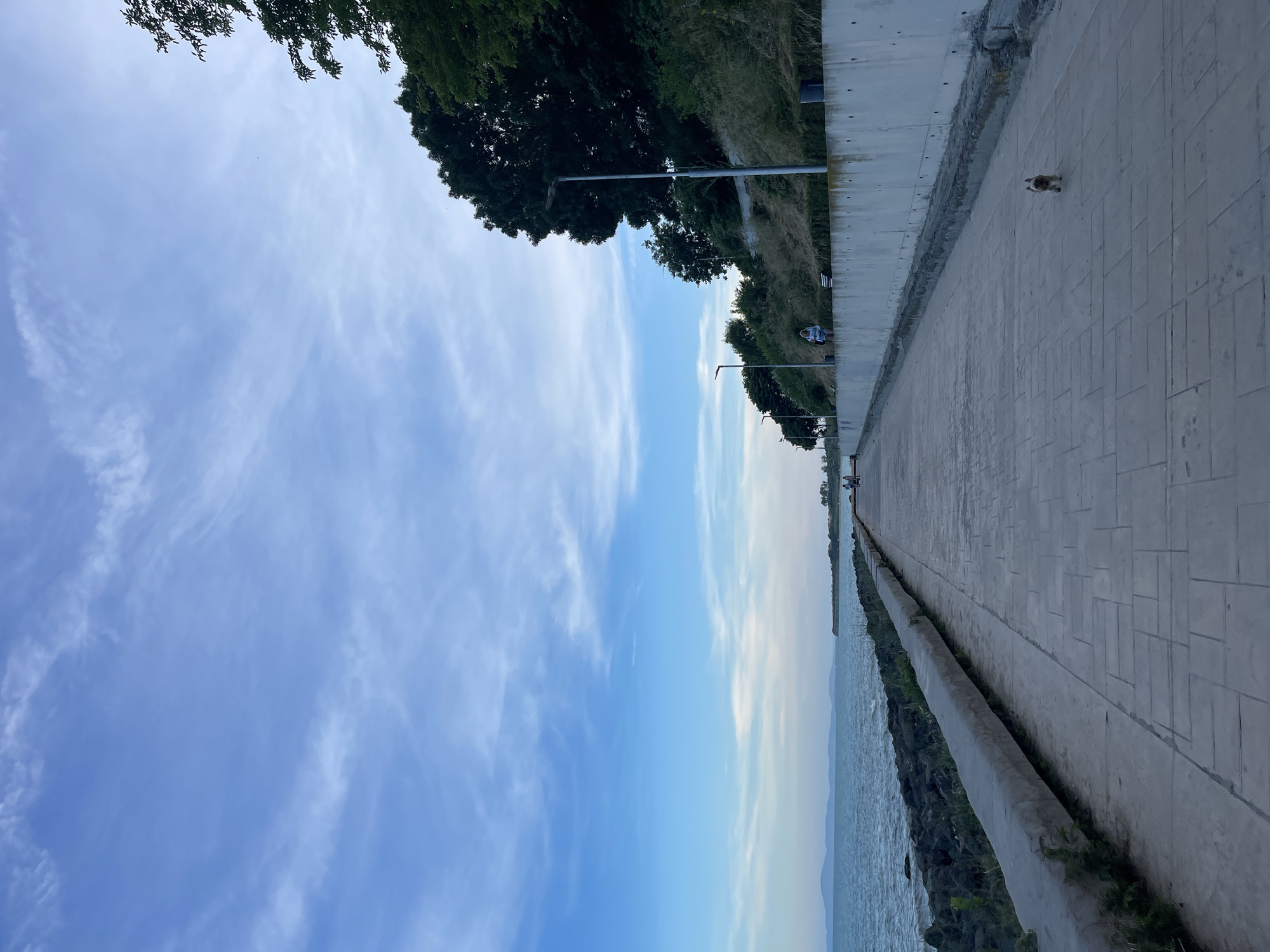 The image shows a paved promenade along the coast of Nesebar, Bulgaria. The promenade is lined with a concrete barrier on the left, separating it from the sea, which is visible with a rocky shoreline. On the right, a steep, vegetated embankment rises, with a concrete retaining wall at its base. Several lampposts are visible along the promenade. In the distance, a few people are walking. A small dog is visible on the promenade in the foreground, walking away from the camera. The sky is blue with wispy clouds.