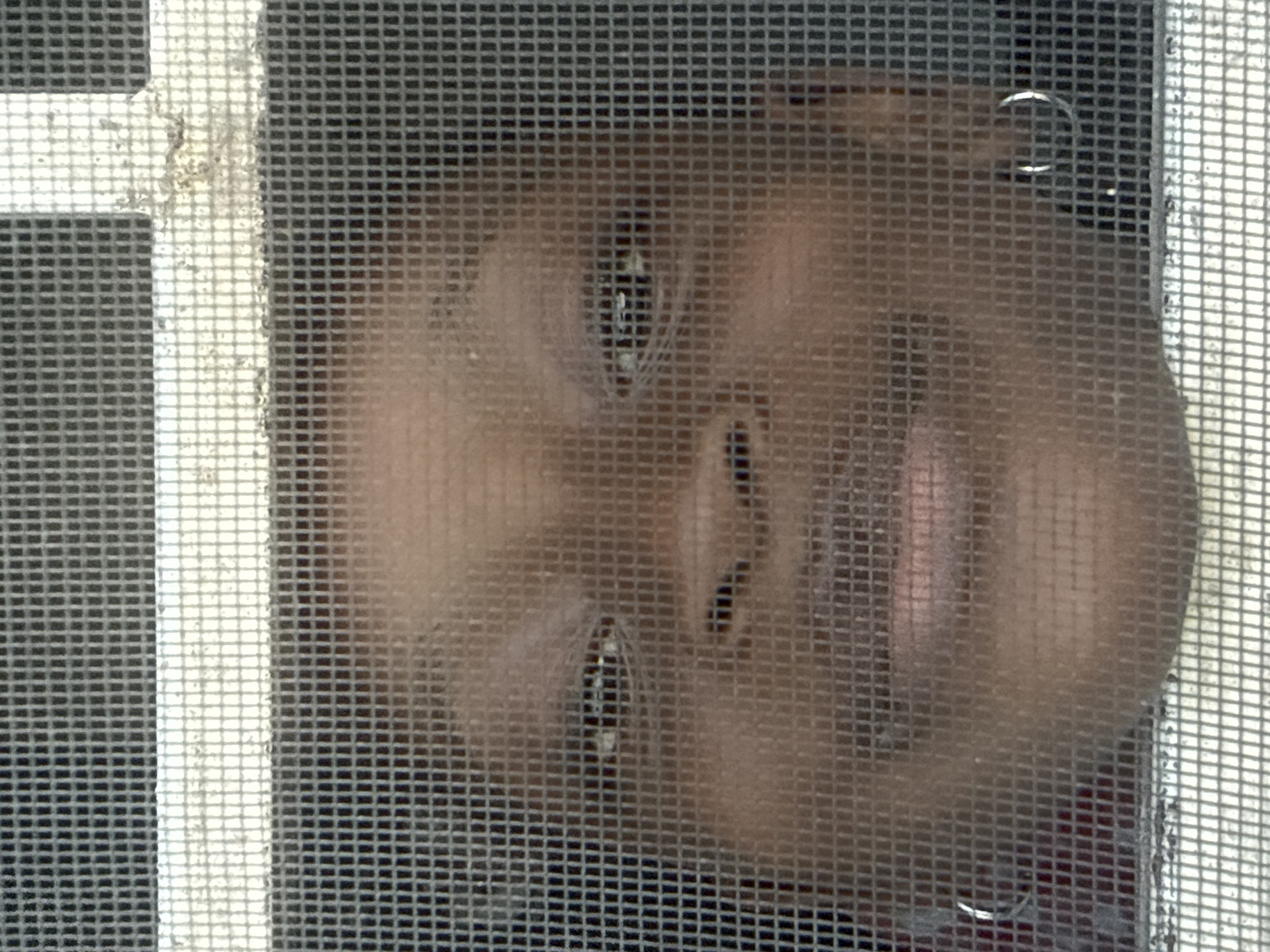 The image depicts a close-up view of an individual's face, likely female, seen through a finely woven, dark grey mesh screen, which imposes a distinct grid pattern across the entire frame. This scene is located in the city of Ado, Nigeria.
The person has a dark brown complexion and is smiling directly at the viewer, with their lips appearing closed or slightly parted in an upward curve. Their dark eyes are open, with visible whites and subtle reflections in the pupils, suggesting a light source in front of them. The eyebrows are naturally shaped and slightly arched. Silver-toned hoop earrings are visible in both earlobes; the one on the left is more prominent, while the one on the right is partially obscured by the screen's mesh. A glimpse of red fabric is visible behind the screen on the far left, possibly indicating clothing worn by the individual.
The screen itself is framed by horizontal white bars at the top and bottom of the image. A vertical white bar is visible on the upper right, forming a corner with the top horizontal bar, indicating the structural elements of a window or door frame. These white frame components exhibit some textural irregularities and minor discoloration, consistent with typical wear or paint finish. The lighting appears natural and even. The photograph is taken from outside the screen, looking inward.
