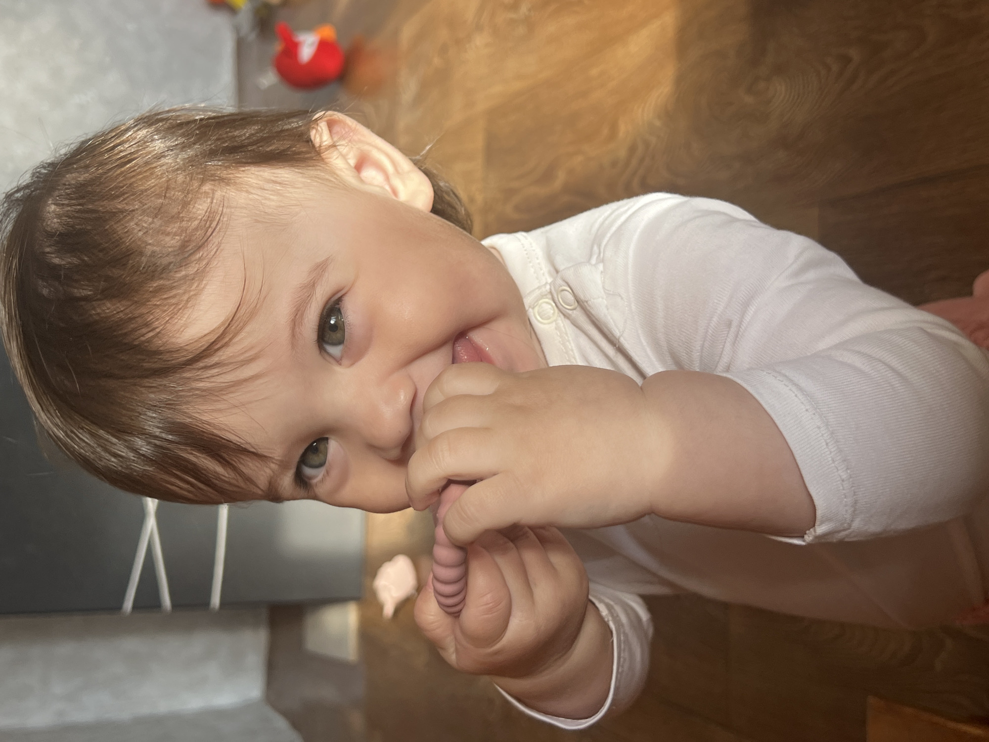 A light-skinned infant with brown hair and green eyes is depicted in a frontal, close-up indoor shot, smiling with an open mouth directly at the viewer. The infant wears a white long-sleeved top, with a pink garment partially visible at the bottom. Both hands grasp a pink, ribbed teether toy positioned at the infant's mouth. The background features light brown wooden flooring. To the left, blurred grey furniture with horizontal light lines is visible. To the right, a red, bird-shaped toy and another small pink object are present on the floor. Natural light illuminates the scene, casting highlights on the flooring and the infant. This scene is located in a residential setting in the city of Elena, Bulgaria.