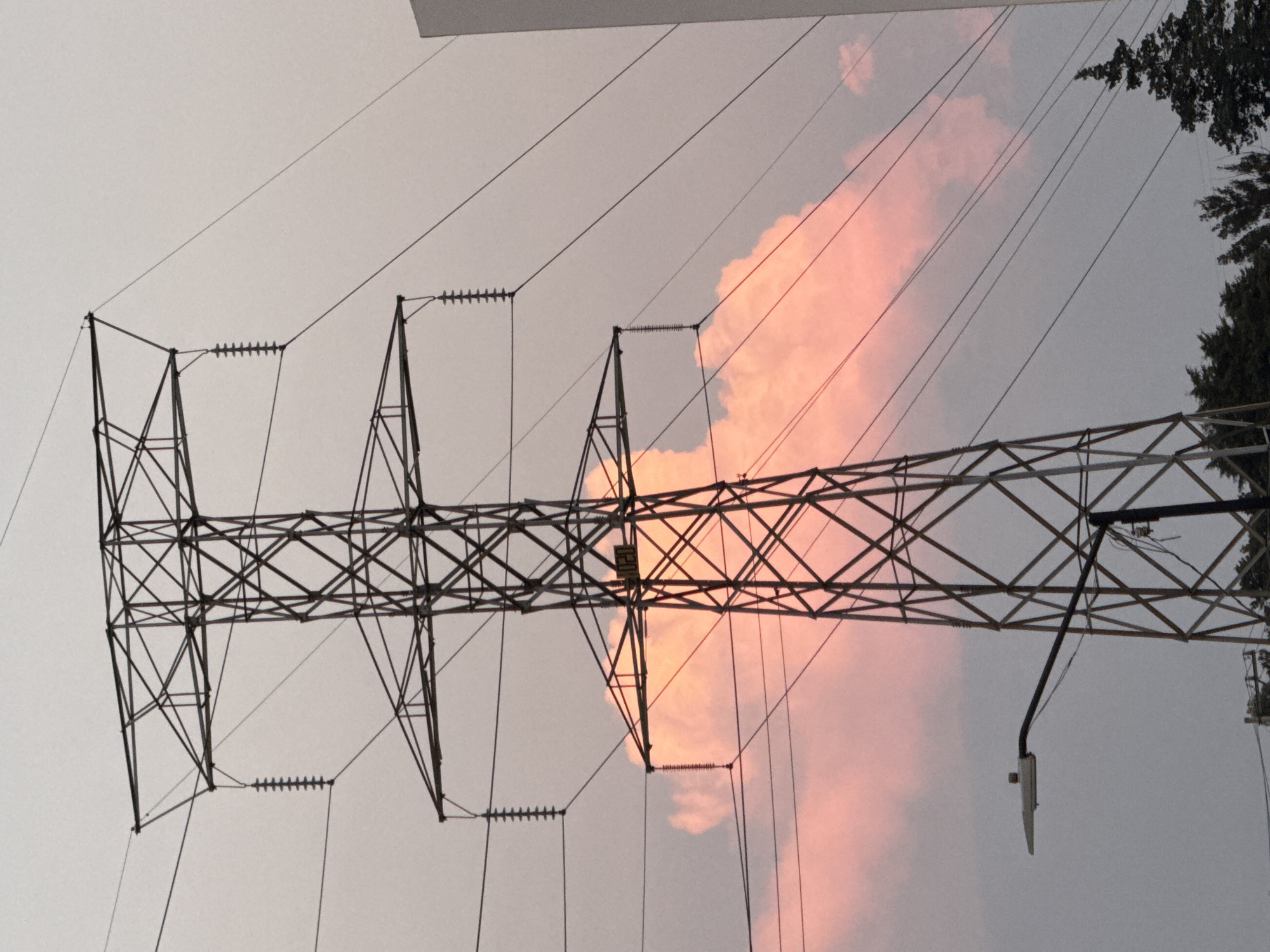 The image shows a high-voltage power line pylon against a sky with pinkish clouds. The metal structure of the pylon is complex, with numerous intersecting beams and wires. Insulators are visible on the lines extending from the pylon. There is a single tree and what appears to be a street light post on the right side of the image. The image is slightly angled. The city and state in which the photo was taken, as well as the names of specific people and locations, cannot be determined from this image.