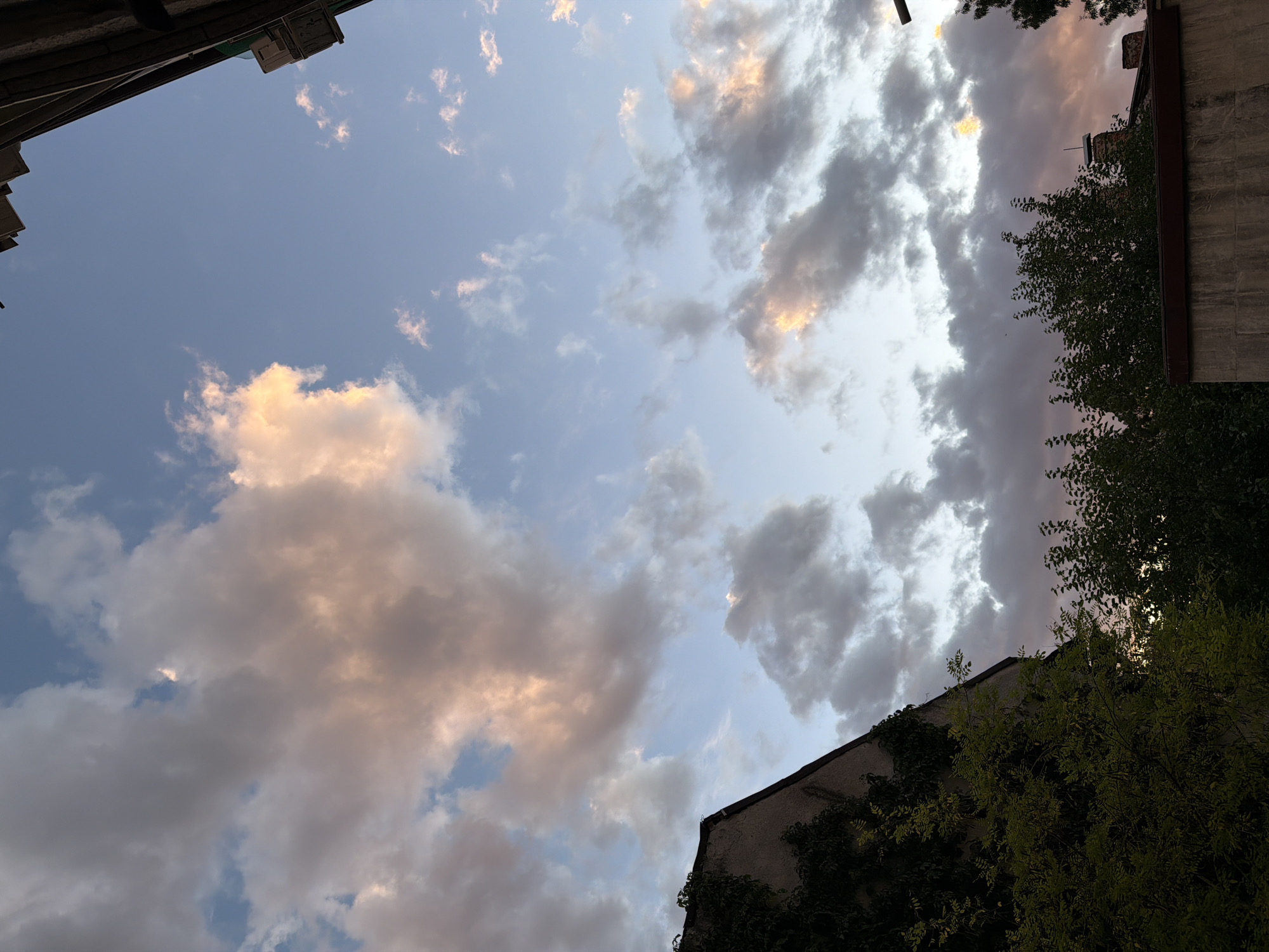 A vertical, medium shot captures a sky with scattered clouds tinged with the warm hues of sunset. In the lower left, the corner of a building is visible, its facade covered in dense green ivy. Adjacent to it, dark green foliage from trees occupies the bottom part of the frame. The upper right corner shows a sliver of a building's exterior, including an air conditioning unit. The scene is set in a city environment, likely Sofia, Bulgaria, given the architectural style and the presence of urban elements. No people or animals are present in the image.