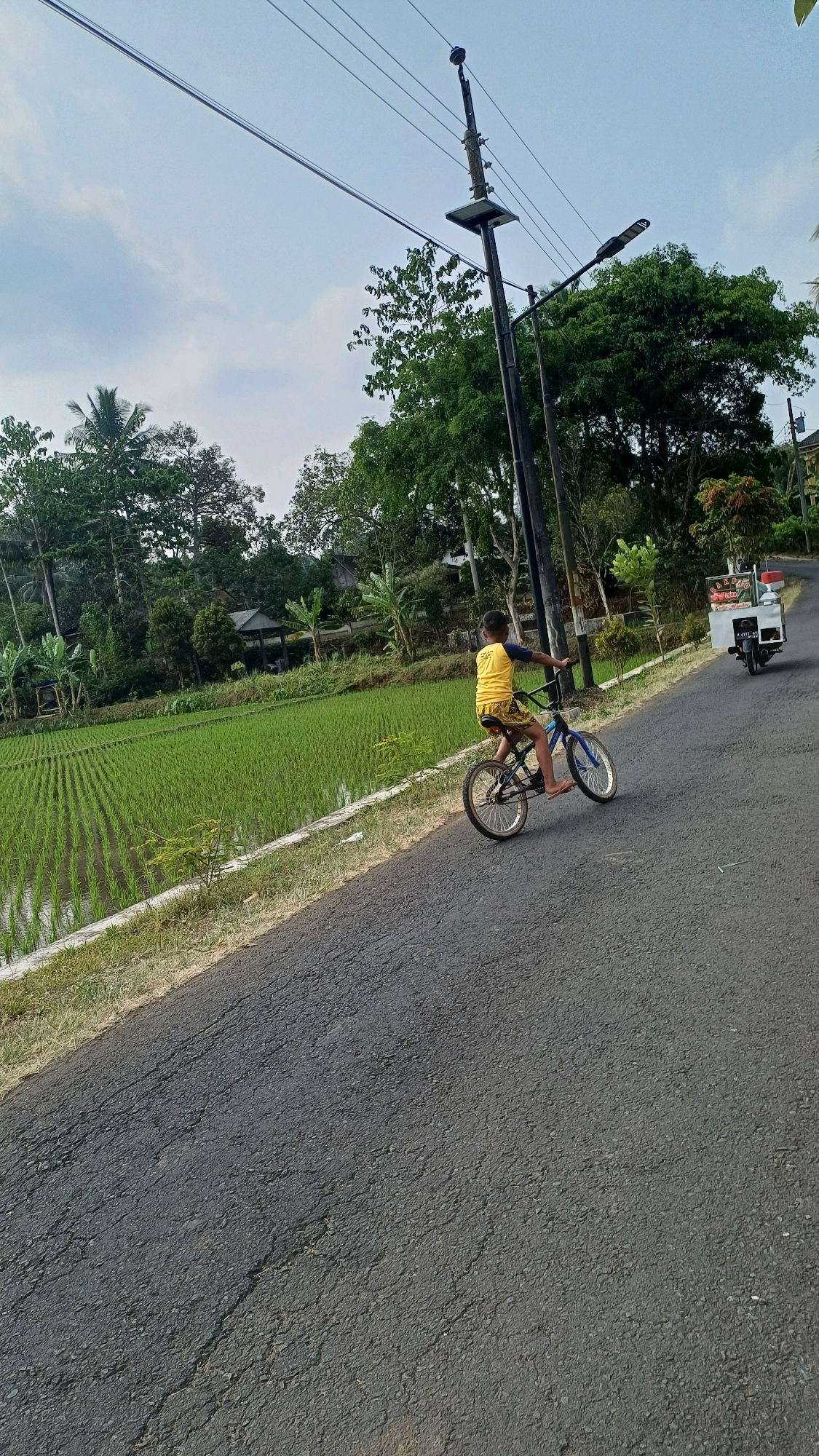 In Mlobo, Indonesia, a young boy in a yellow shirt and shorts rides a blue bicycle on an asphalt road. The road is cracked and appears to be in a rural or suburban area. To the left of the road is a vibrant green rice paddy field. In the background, lush trees and vegetation line the horizon, with power lines and utility poles visible overhead. A food cart on a motorcycle is parked further down the road on the right. The sky is overcast.