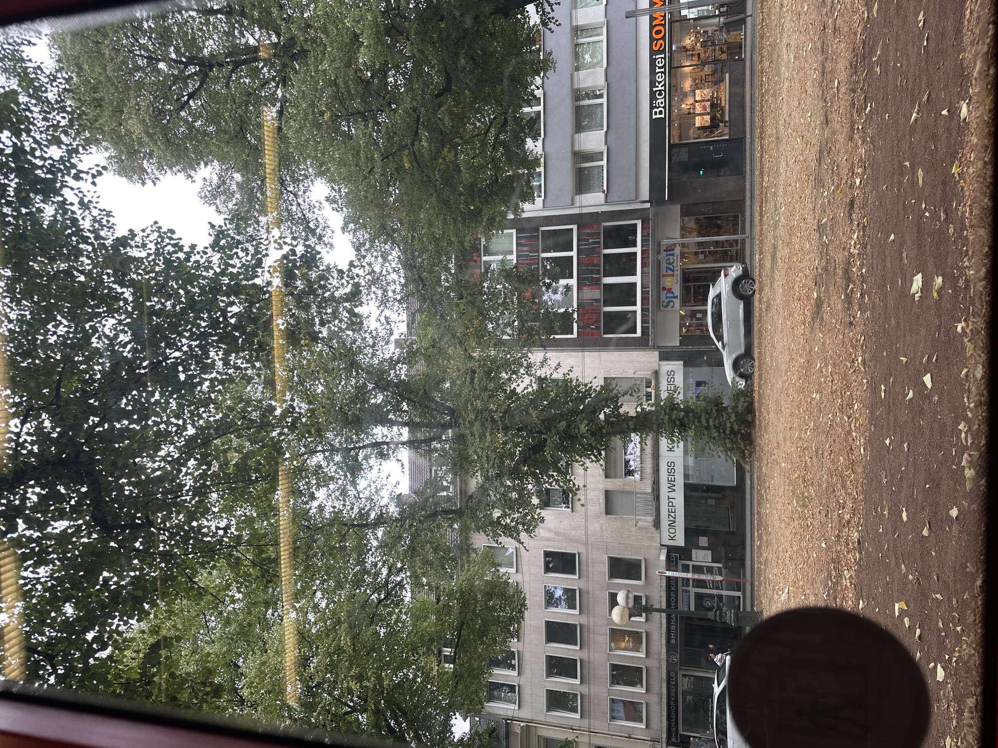 The image, taken from inside a vehicle looking out, captures a street scene in Krefeld, Germany. In the foreground, a dark circular reflection of what appears to be an object or part of the vehicle's interior is visible on the left. Beyond this, a ground covered with fallen autumn leaves and patches of bare soil stretches across the lower portion of the frame.
The midground shows a street with a white car parked and another white car, possibly an SUV, driving away on the right. The street is lined with buildings. The buildings are multi-story structures with a mix of commercial establishments on the ground floor. Visible signage includes "SHISHASHOP KREFELD," "KONZEPT WEISS," "Spielzeit Spiele & Fantasy," and "Bäckerei SOMM." The architecture of the buildings varies, with some featuring light-colored facades and multiple windows, while others have darker or more patterned exteriors. A lamppost with two globular lights stands in front of one of the buildings.
The background is dominated by the upper floors of the buildings and a dense canopy of trees, their leaves obscuring much of the sky. The trees appear to be mature and full, suggesting it is either late summer or early autumn. The overall impression is a moderately busy urban street scene with a prominent natural element from the trees.