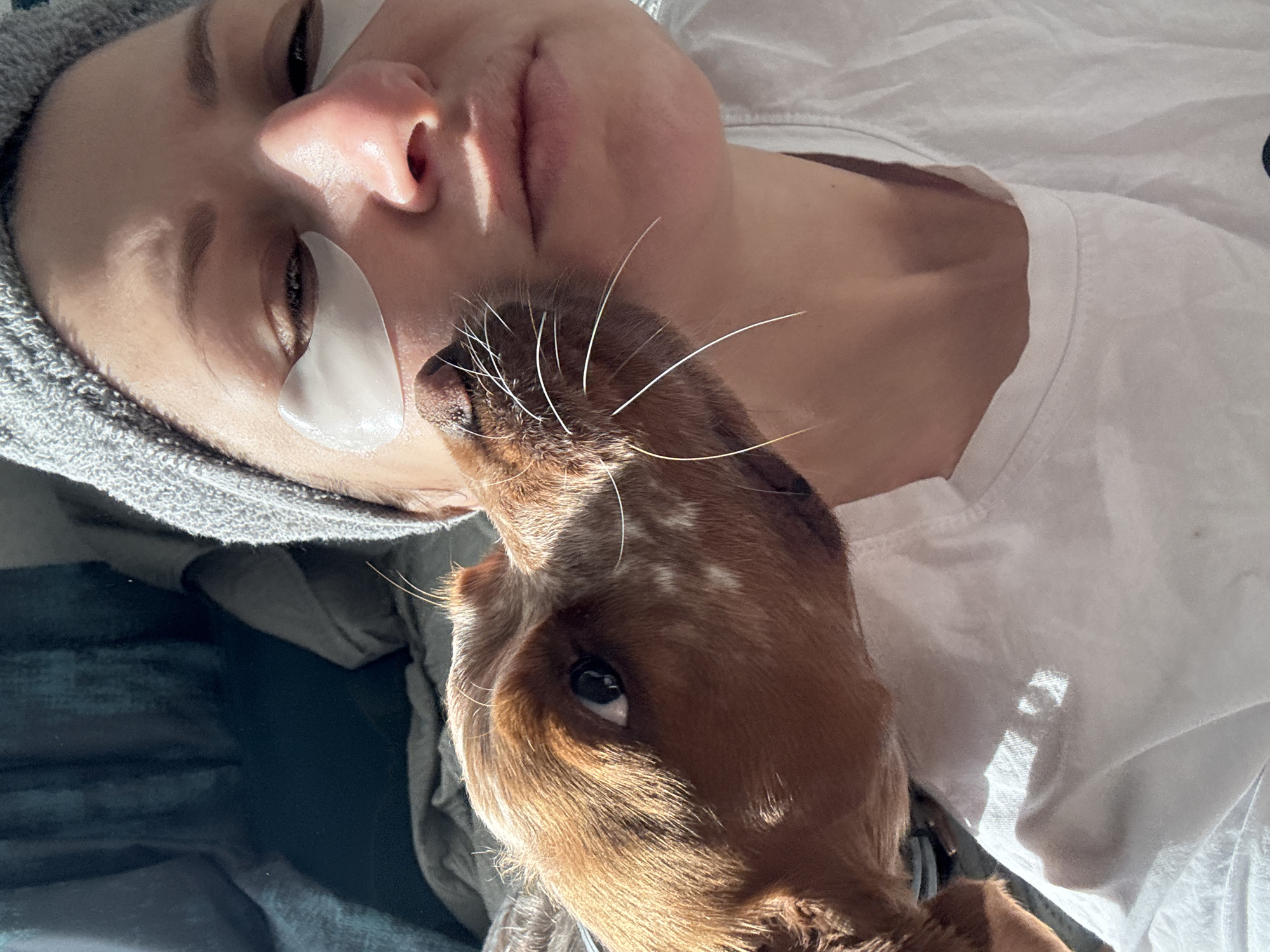 A person lies on their back wearing a grey towel around their head and a white eye mask under their left eye. A medium-sized, brown and white dog is close to the person's face, its nose near the person's nose. The person is wearing a white t-shirt. The background is blurred, but hints at a blue or green surface beneath the person. The scene appears to be indoors and well lit, possibly near a window due to the presence of shadows. The image contains no location in Sofia, Bulgaria.
