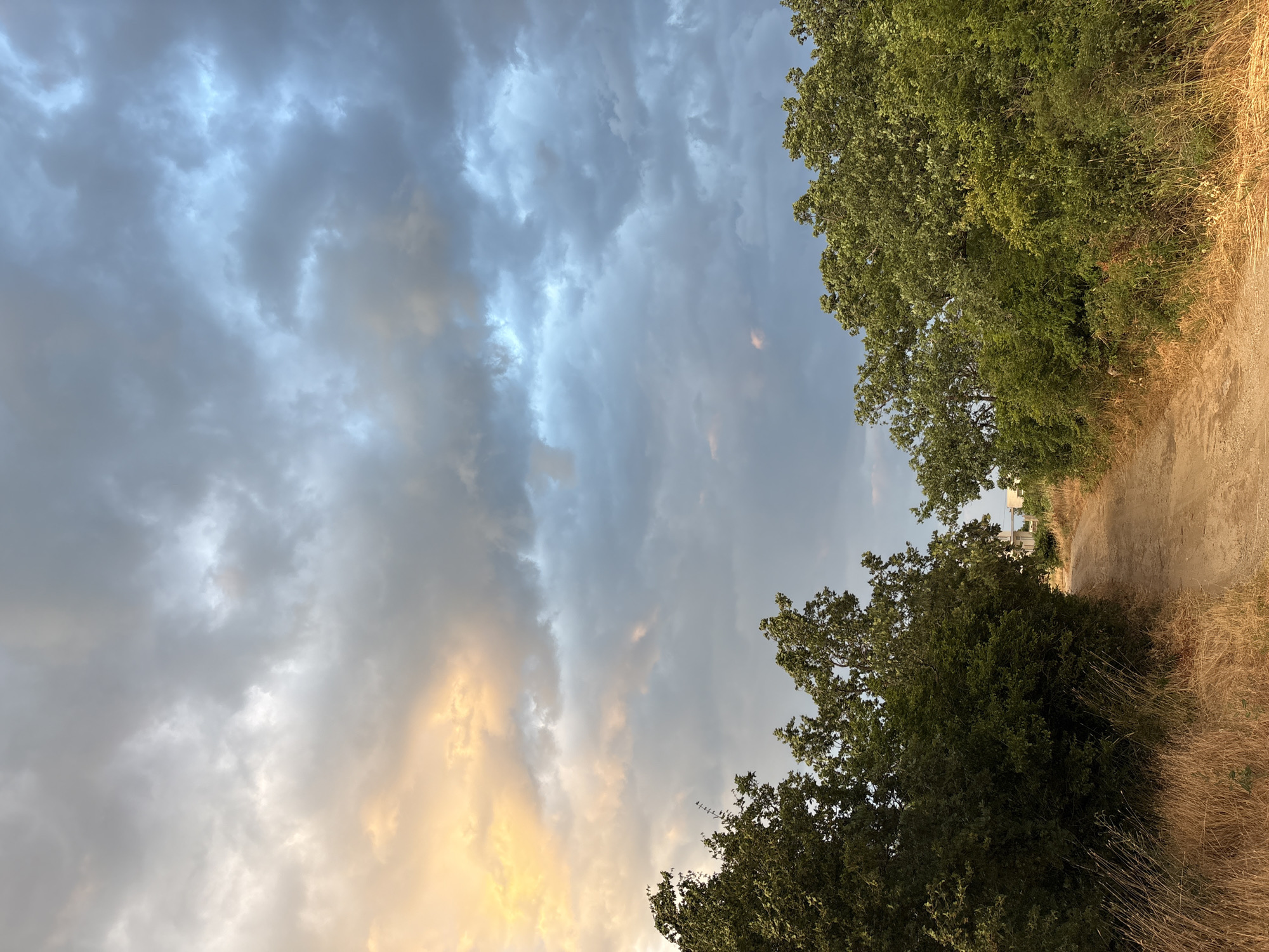 The image depicts a dirt path leading through a natural landscape under a cloudy sky. Lush green trees line both sides of the path, with dry, golden grass growing at their bases. The sky is filled with dramatic clouds, some tinged with warm, golden light from the setting sun on the left, and others with a cooler, blue-gray hue on the right. In the distance, faint structures can be seen beyond the trees on the right side of the path. The scene appears to be a rural area, likely near Malyi Mayak, Ukraine, given the context. There are no people or animals visible in the frame. The overall impression is one of a tranquil, natural setting at dusk.