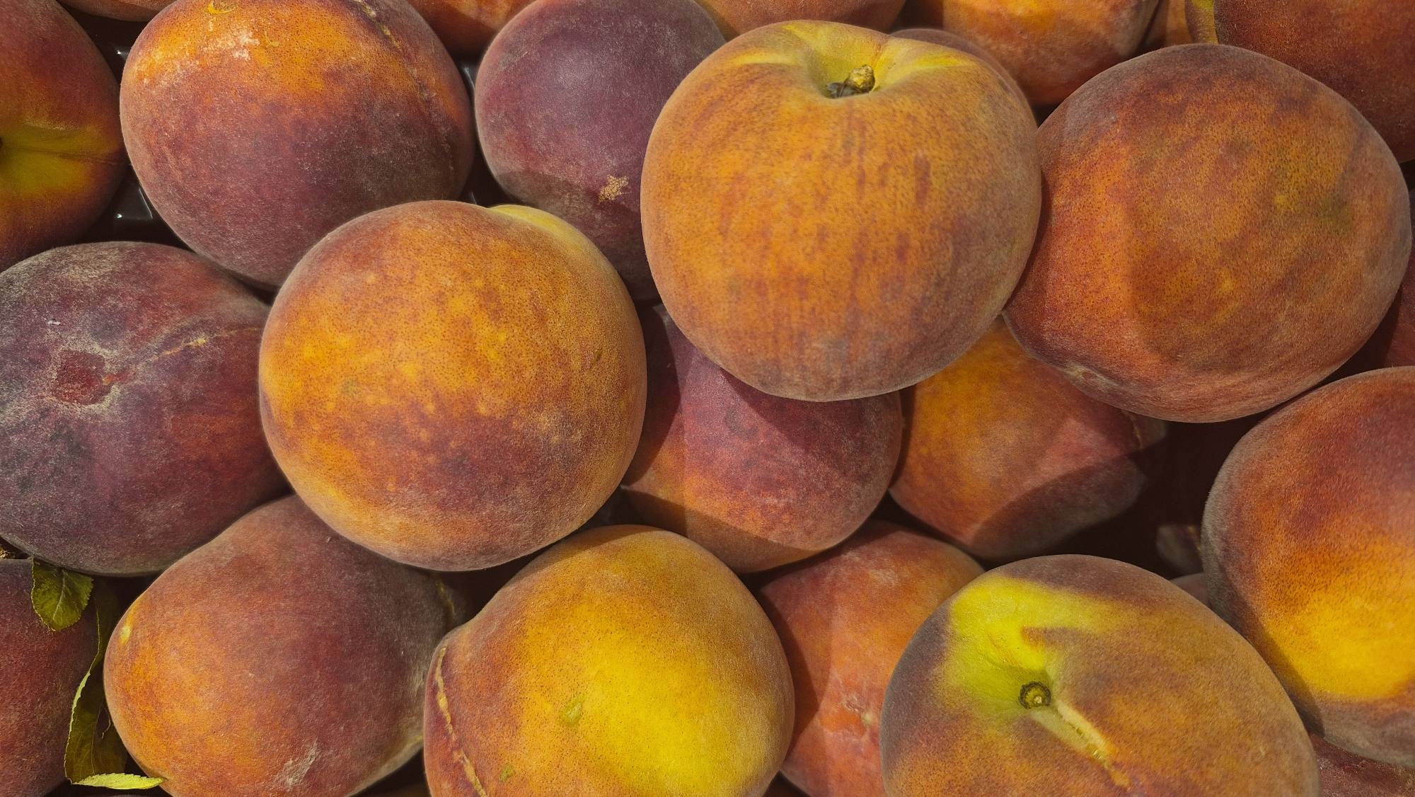 A close-up, overhead shot displays a pile of ripe peaches. The peaches are round with a fuzzy skin, exhibiting a gradient of colors from yellow to deep red and purple. Some peaches have a prominent indentation where the stem was attached, and a few show hints of green near this area. The lighting casts subtle shadows, highlighting the texture of the fruit. The scene is captured in a way that emphasizes the abundance and freshness of the peaches, likely in a market or grocery store setting. There are no people or discernible city landmarks visible in this image.