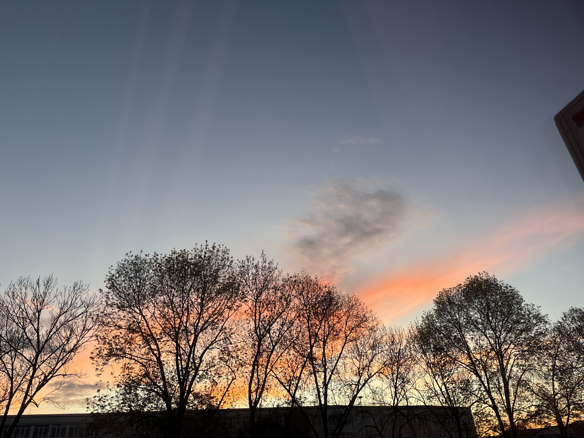The image displays a picturesque sunset or sunrise over Panagyurishte, Bulgaria, characterized by a striking sky and silhouetted natural and architectural elements. The upper sky is a clear, deep blue-grey, transitioning downwards into vibrant hues of orange, pink, and yellow towards the horizon, indicative of either dawn or dusk. Faint crepuscular rays are visible in the upper-left and central sky, radiating from an unseen light source. Scattered clouds, some grey and others illuminated by the warm light, add texture to the colorful expanse.
A prominent line of deciduous trees, likely in late winter or early spring with bare branches or minimal foliage, is silhouetted against the bright, colorful sky, forming a dark, intricate pattern across the middle of the frame. Below the treeline, the dark silhouette of what appears to be a building or a series of structures can be discerned. On the far right edge, a small, dark, angled structure, possibly part of a sign or a building feature, is visible against the upper sky. The scene is devoid of people or any visible text. The overall impression is one of natural beauty and tranquility at the transition between day and night.