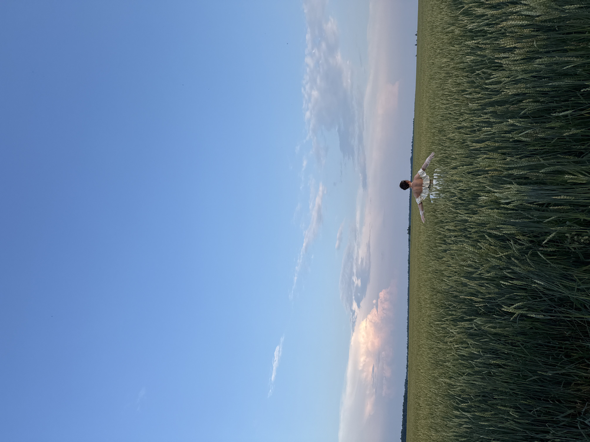 An aerial view shows a person in a field of wheat. The person is facing away from the camera, with their arms outstretched. The wheat field is vast and extends to the horizon. The sky above is a clear blue with a few scattered clouds. The overall scene is one of peace and tranquility.