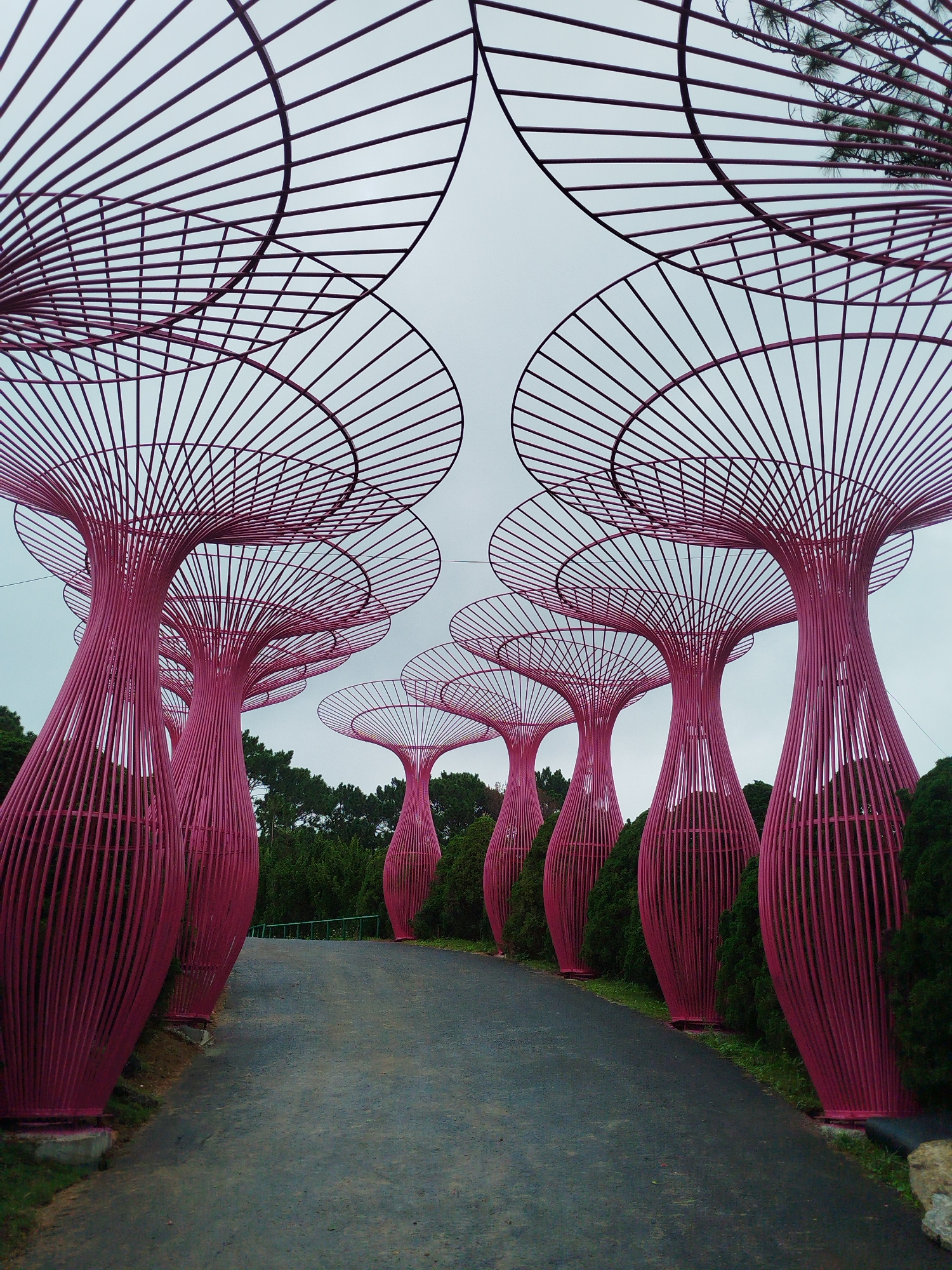 The image captures a pathway in the city of Da Lat, Vietnam, lined with large, pink, tree-like sculptures. These sculptures are made of metal rods and have a distinctive umbrella-like canopy. The pathway is paved and curves to the right, leading into the distance. The sculptures are arranged in a row along the left side of the path, with dense green foliage visible behind them. The sky is overcast, contributing to a soft, diffused light. The perspective is from ground level, looking up at the towering sculptures. There are no people visible in the image.