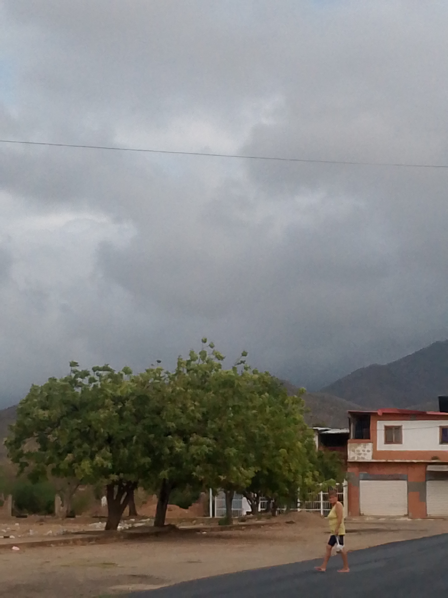 The scene depicts a street in what appears to be the city of Juan Griego, Venezuela. A middle-aged woman dressed in a yellow tank top and dark shorts is walking across the street. Behind her, there is a two-story building with white roll-up doors. To the left are several trees, and in the background are mountains obscured by cloudy, overcast skies. An electrical wire stretches horizontally across the sky. The road surface is paved, and litter is visible on the ground near the trees.