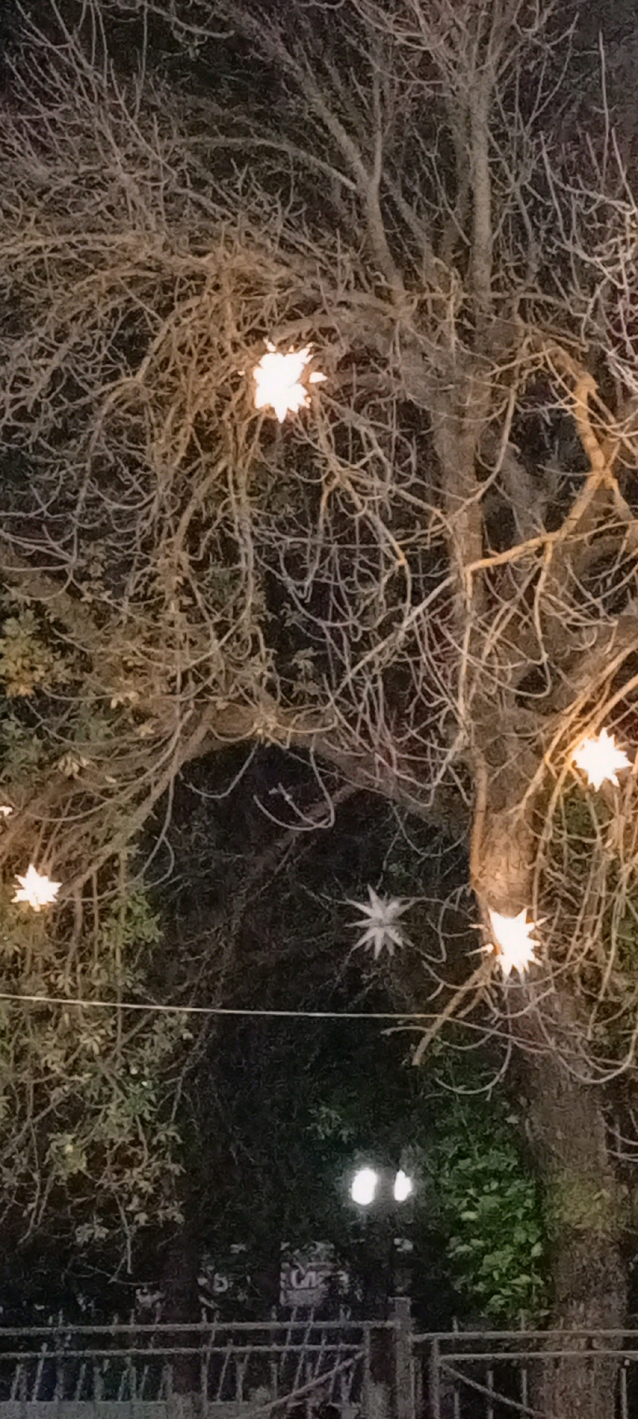 The image shows a nighttime view of a bare tree adorned with star-shaped lights. The tree's branches are intricate and appear to be covered in frost or a light dusting. Several of these star lights are visible, some emitting a bright, warm glow, while others appear more muted. In the background, the scene is dark, with hints of foliage and possibly other trees. Towards the bottom of the image, a fence and a street lamp with two illuminated bulbs are visible. There are no people or animals in the frame. The overall impression is one of a festive or decorative outdoor setting at night. The location is identified as Kirsanov, Russia, though no specific landmarks within the city are discernible from the image itself.