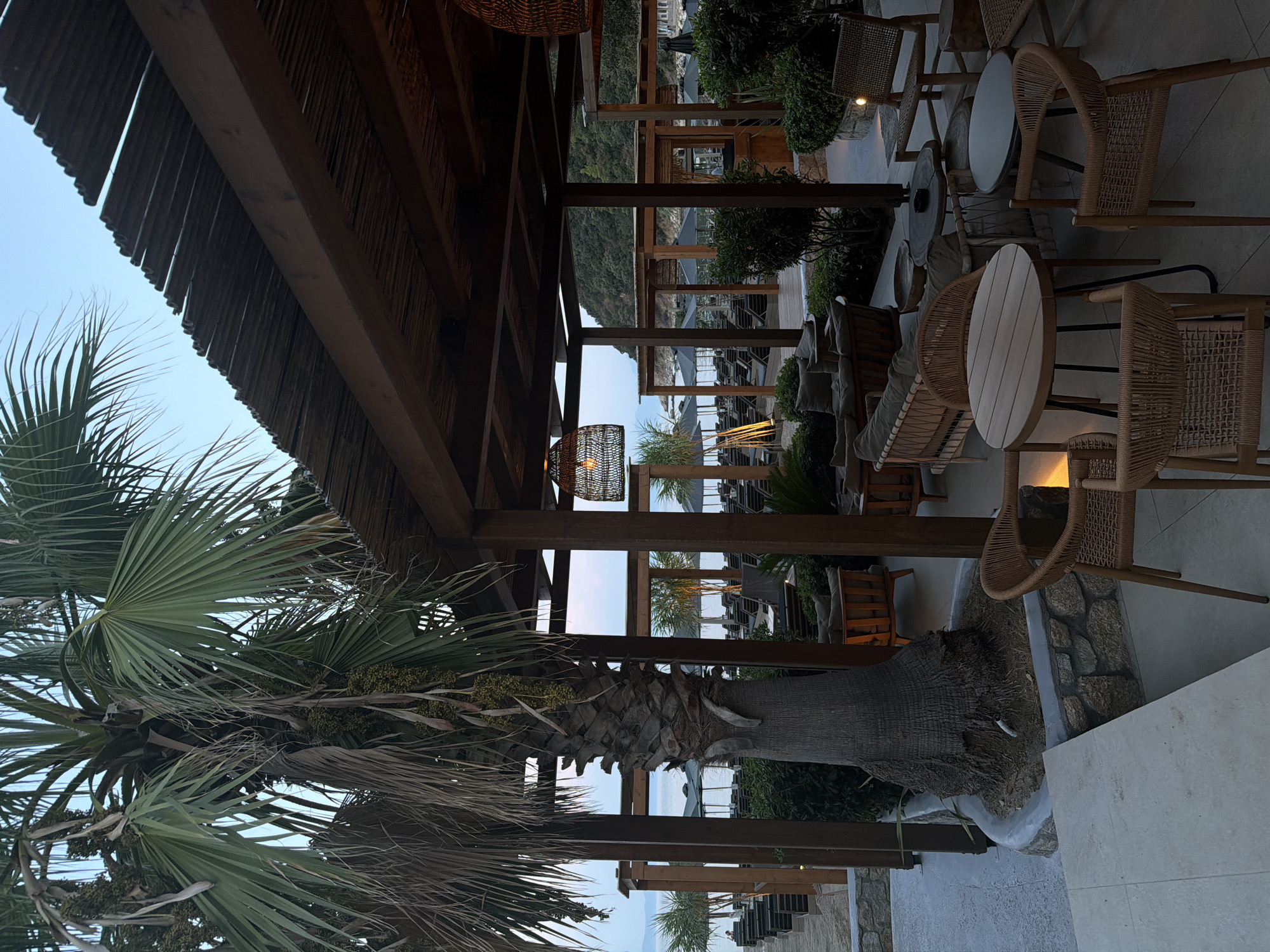 A twilight scene depicts an outdoor seating area at a beach resort in Sithonia Municipal Unit, Greece. A large palm tree dominates the foreground, its fronds casting shadows. Wooden beams and a woven roof form an overhead structure. Seating arrangements include wicker chairs and sofas, with various tables scattered throughout. In the background, lounge chairs and umbrellas are visible on the sandy beach, leading to the calm sea and a tree-covered hillside. The atmosphere suggests a tranquil evening setting.