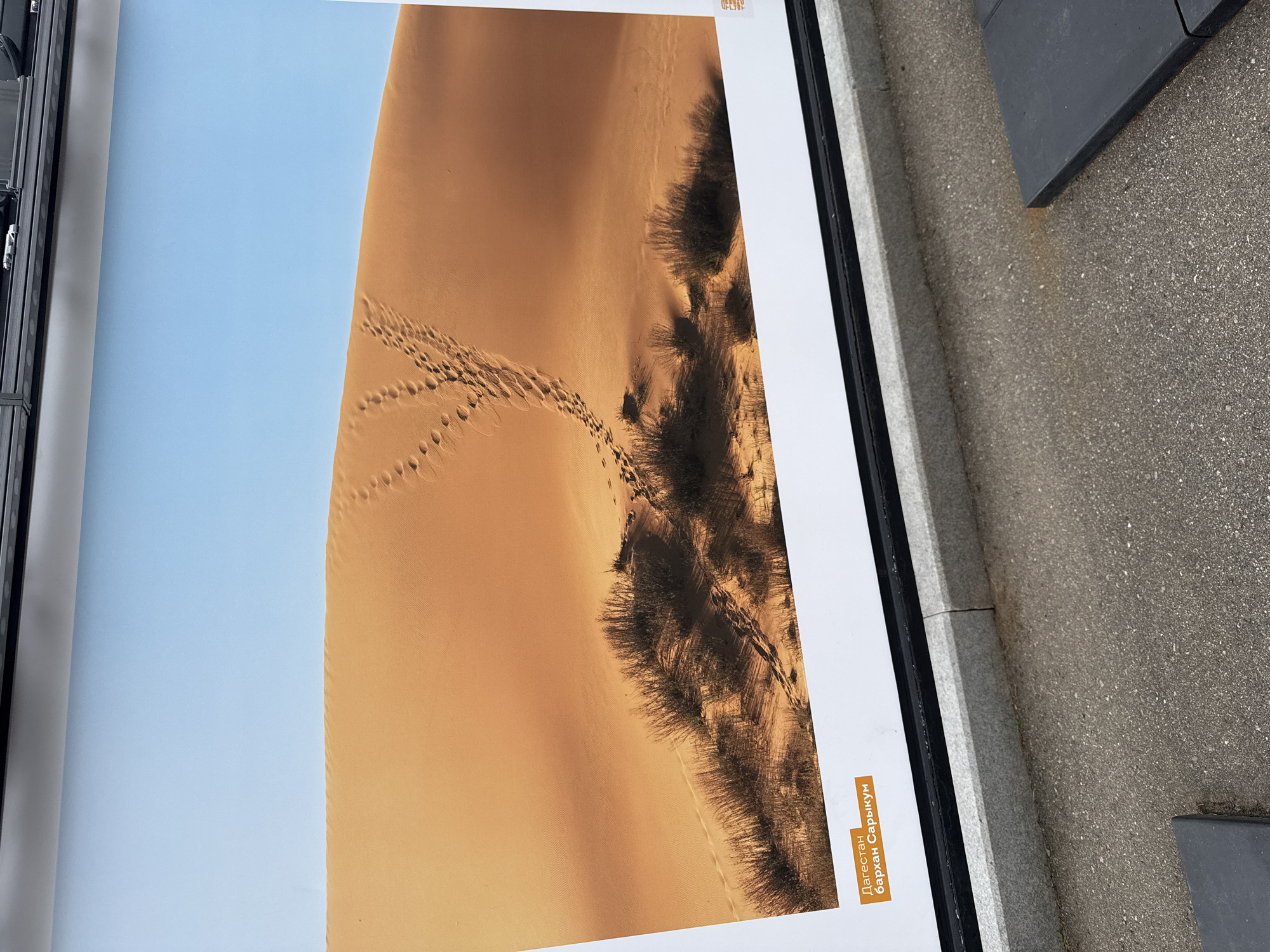 An outdoor advertisement displays a desert landscape under a clear blue sky. The foreground of the advertisement features a large sand dune with footprints leading up its slope, interspersed with clumps of dry grass. In the bottom left corner of the advertisement, there is an orange-colored label with text that appears to be in a Cyrillic alphabet. The advertisement is mounted on a dark frame and positioned above a concrete curb and asphalt ground. Two dark, flat rectangular objects are visible on the asphalt in the lower right portion of the image. The setting appears to be a public space in Moscow, Russia.