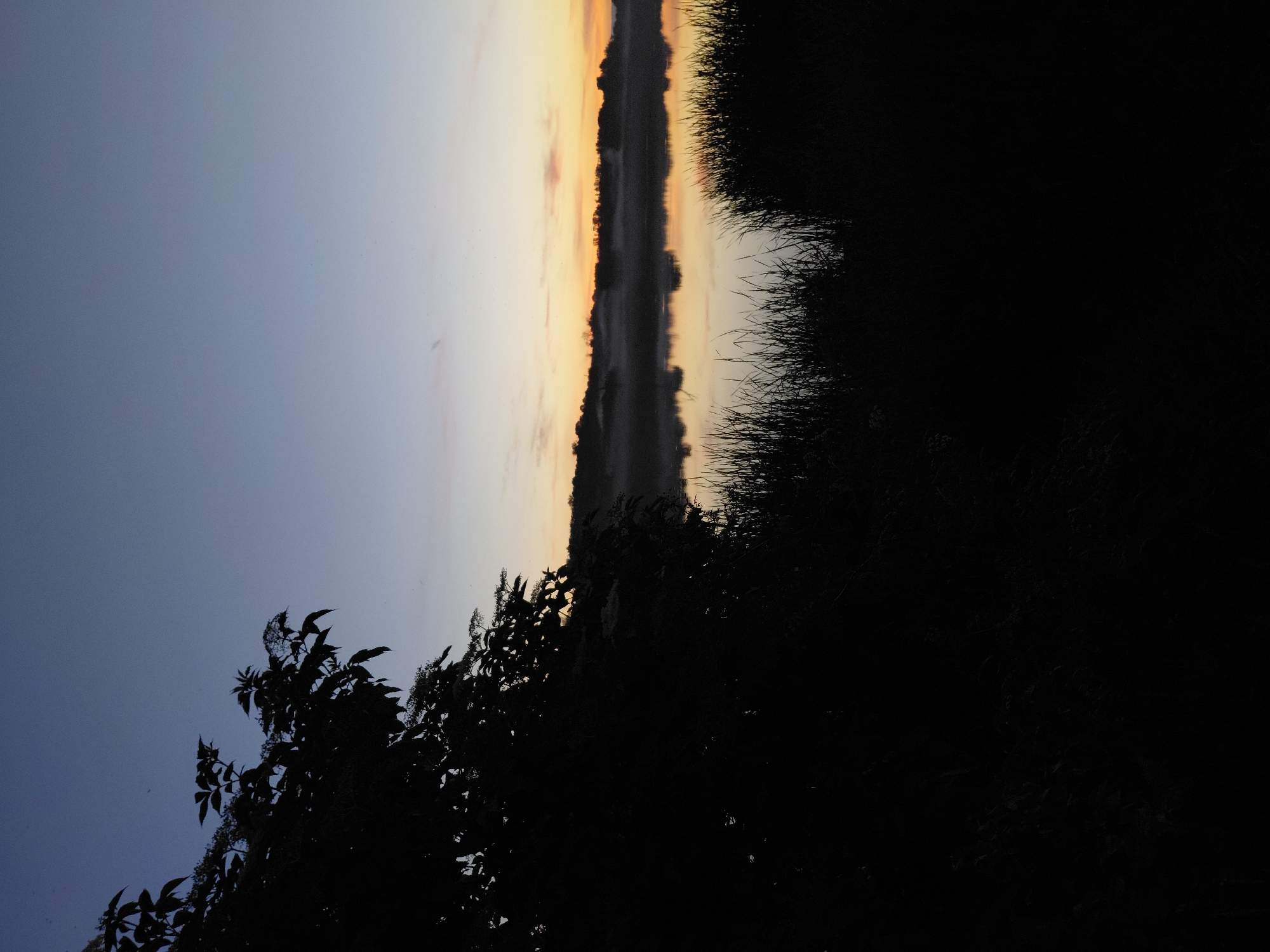 The image depicts a serene lake scene at dawn or dusk in Ustyvytsia, Ukraine. In the foreground, the silhouetted branches of a tree with leaves and small white flowers are on the left, and tall grass is on the right. The lake itself is calm and reflects the sky and the misty treeline on the opposite shore. The sky transitions from a deep blue at the top to lighter shades of blue and pink near the horizon, where the sun is either rising or setting, casting a warm glow. The overall atmosphere is peaceful and natural.