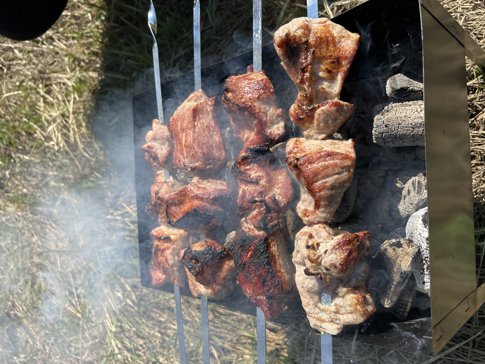 The image shows a barbecue grill with skewers of meat cooking over hot coals. The grill is a simple metal box with a frame to hold the skewers. The skewers are made of metal and have chunks of meat threaded onto them. Some of the meat is charred, while other pieces are still cooking. Smoke is rising from the grill, and the background shows grass and dry vegetation. The location appears to be an outdoor area, possibly a park or backyard.