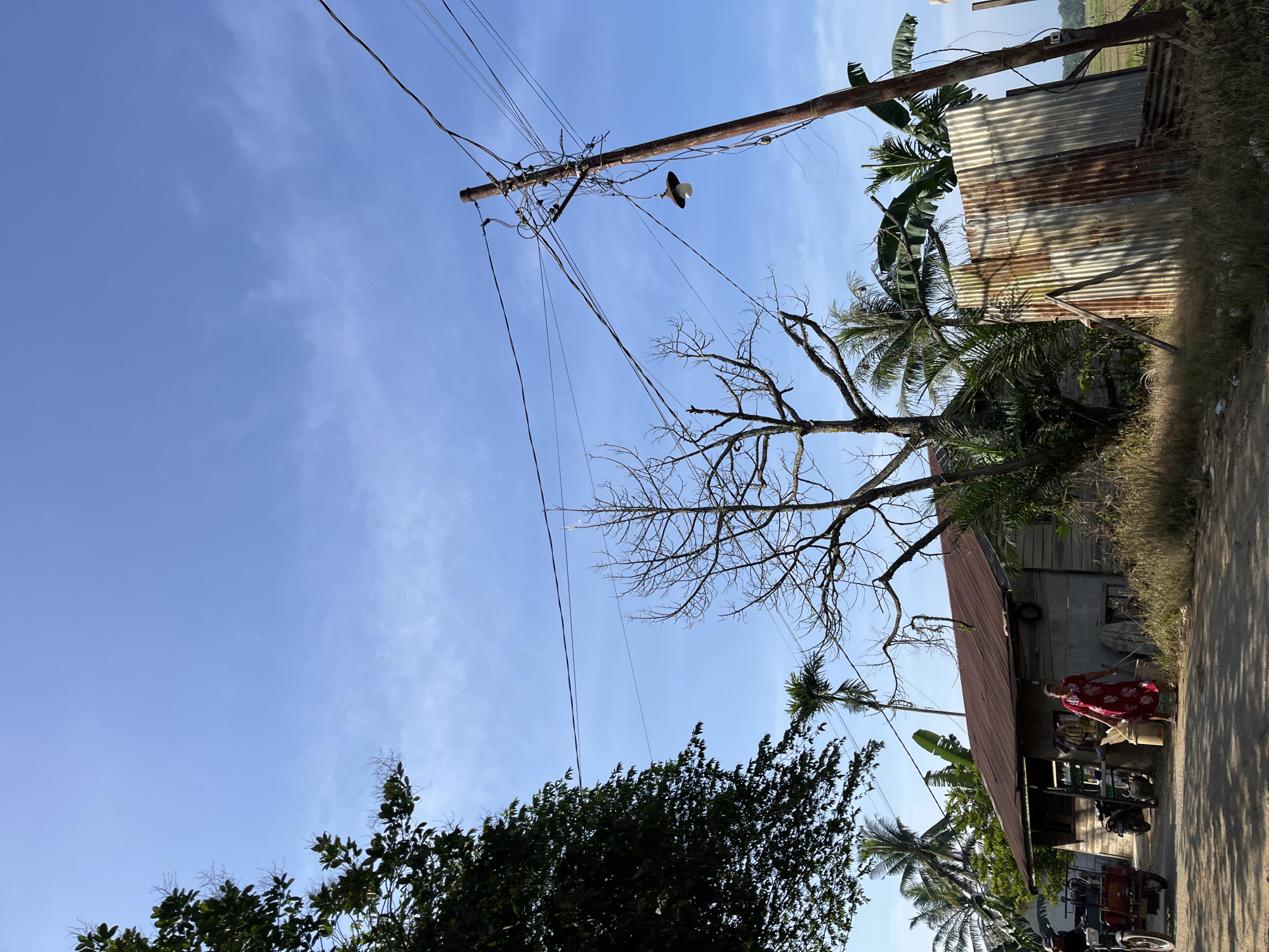 This is a low-angle, full outdoor shot of a rural scene under a clear blue sky with wispy clouds. A woman in a red dress walks to the left of a small, weathered wooden house with a rusted tin roof. In front of the house are a few motorcycles and some barrels. To the right of the house, a dead tree with bare branches stands, and further right is a corrugated tin structure leaning at an angle. A utility pole with a hanging lamp stands near the tin structure, surrounded by power lines. Palm trees and other greenery are visible in the background. The ground is a dirt path. The scene appears to be in a village setting in Durian, Indonesia.