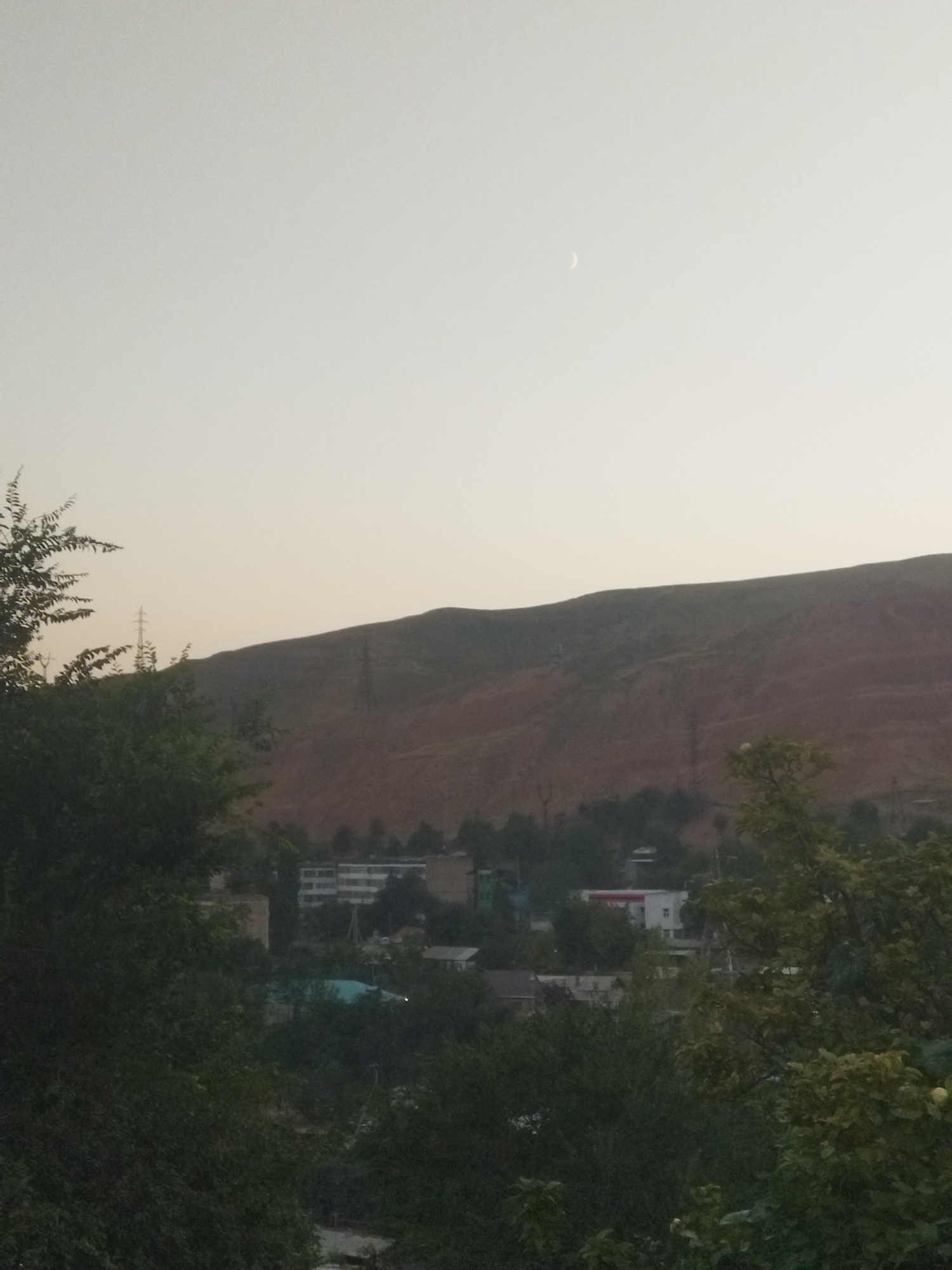 A crescent moon is visible in the pale sky above a city. In the foreground, dense green foliage obscures much of the lower portion of the image. Beyond the foliage, a town is nestled at the base of a large, reddish-brown hill. Several buildings, some appearing to be multi-story apartment complexes, are scattered among trees. Power lines and transmission towers are also present on the hillside and in the town. The overall impression is of a somewhat hazy, overcast day in a residential area at the foot of a mountain.