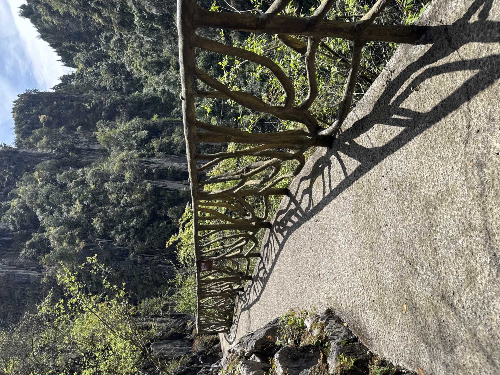The image depicts a walkway in Qianjiang, China. The walkway is constructed of concrete and bordered by a faux-wood railing resembling tree branches. Shadows from the railing are cast onto the walkway surface. Beyond the walkway and railing, a steep, forested hillside is visible. The landscape includes trees, shrubs, and rock formations. The photograph is taken in daylight, with the sun casting strong shadows. There are no people visible in the frame.