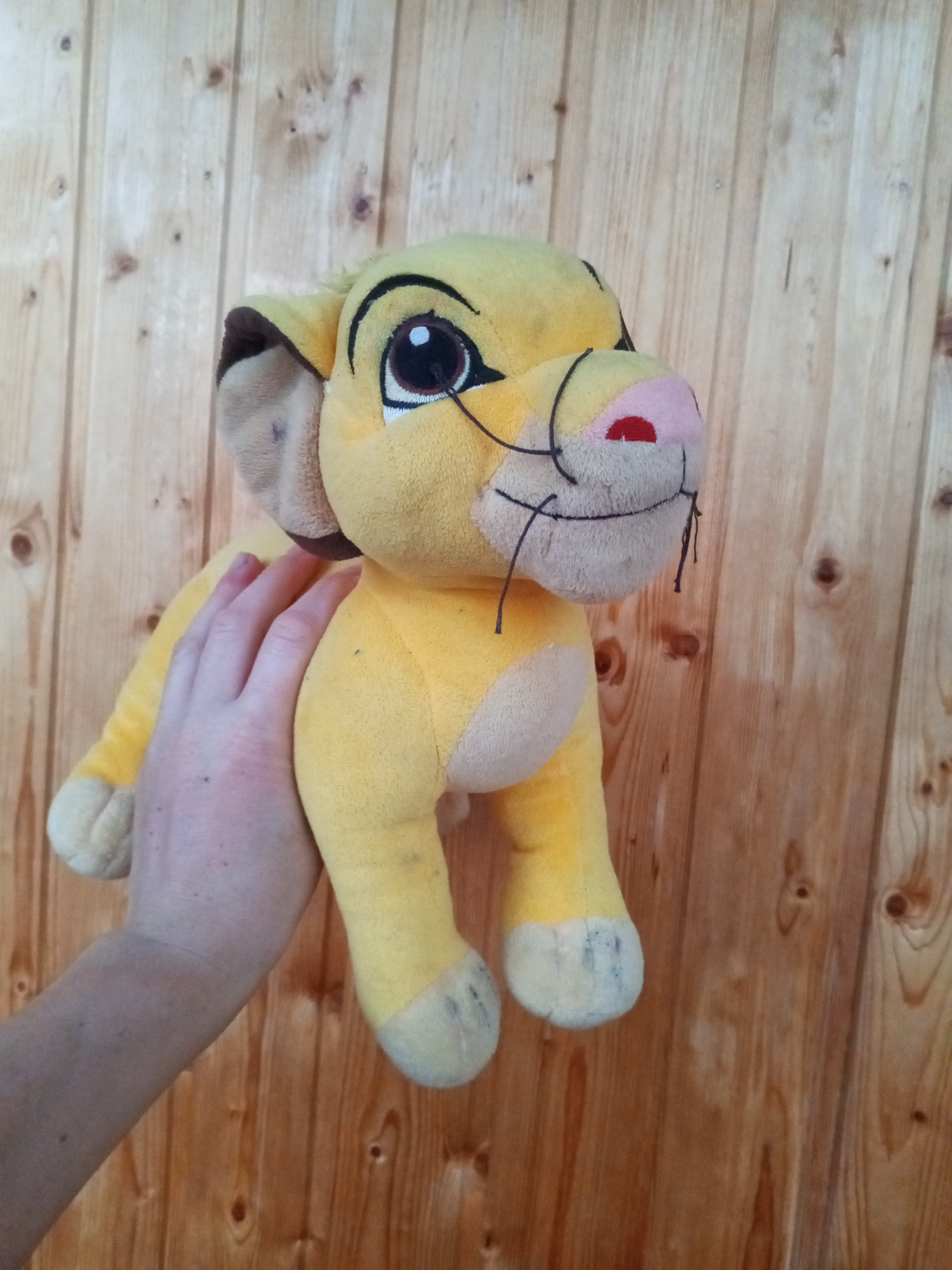 An overhead shot captures a plush toy lion cub with large, dark eyes and a pink nose, held by a person's hand and arm. The toy is predominantly yellow with lighter beige accents on its muzzle and feet. The background consists of vertical wooden planks with a visible grain pattern. The scene is devoid of any identifiable urban elements, making it impossible to ascertain its location in Chistopol, Russia, or any other city.